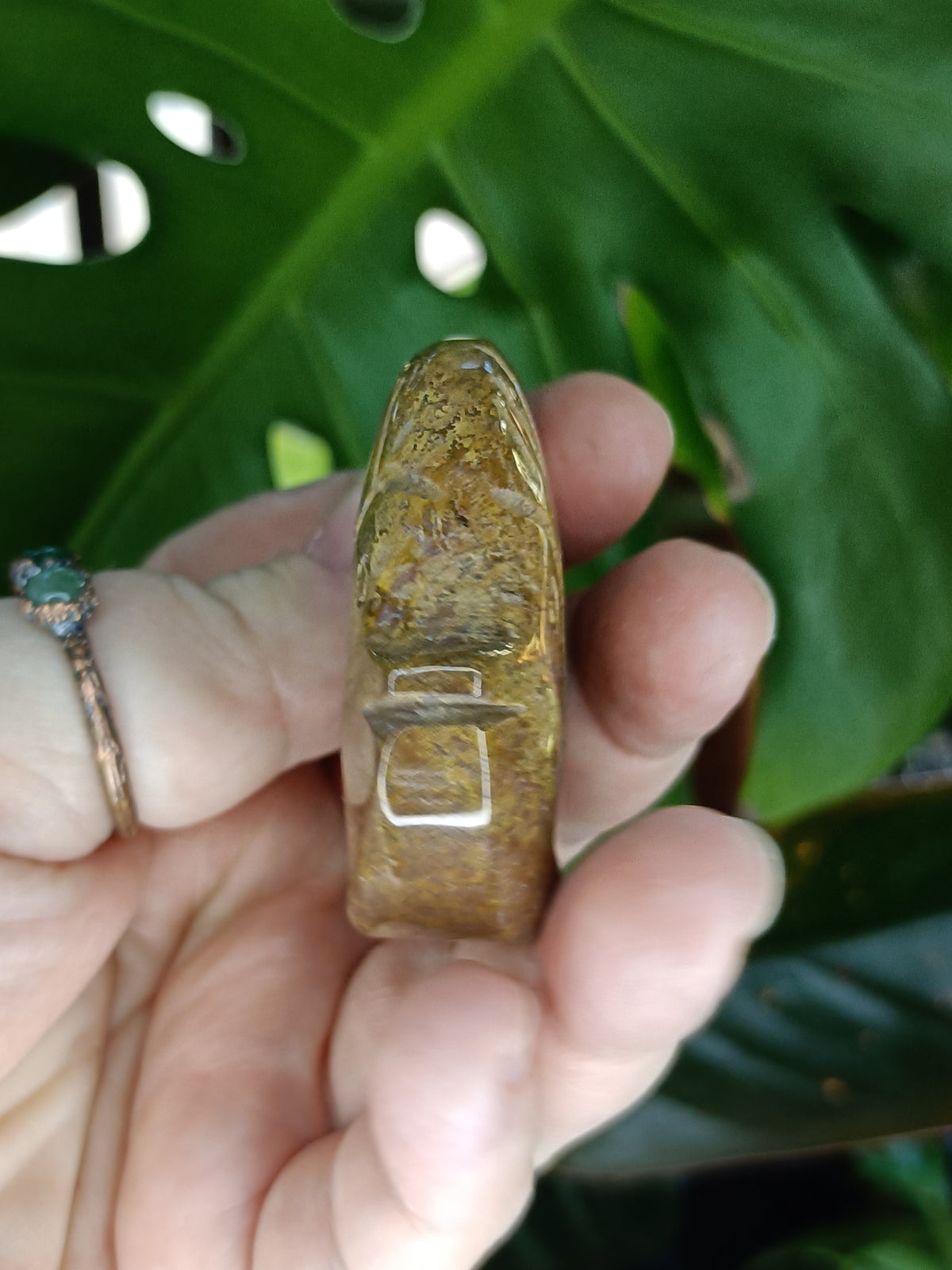 Sea Jasper Angel Fish Carving - 78g