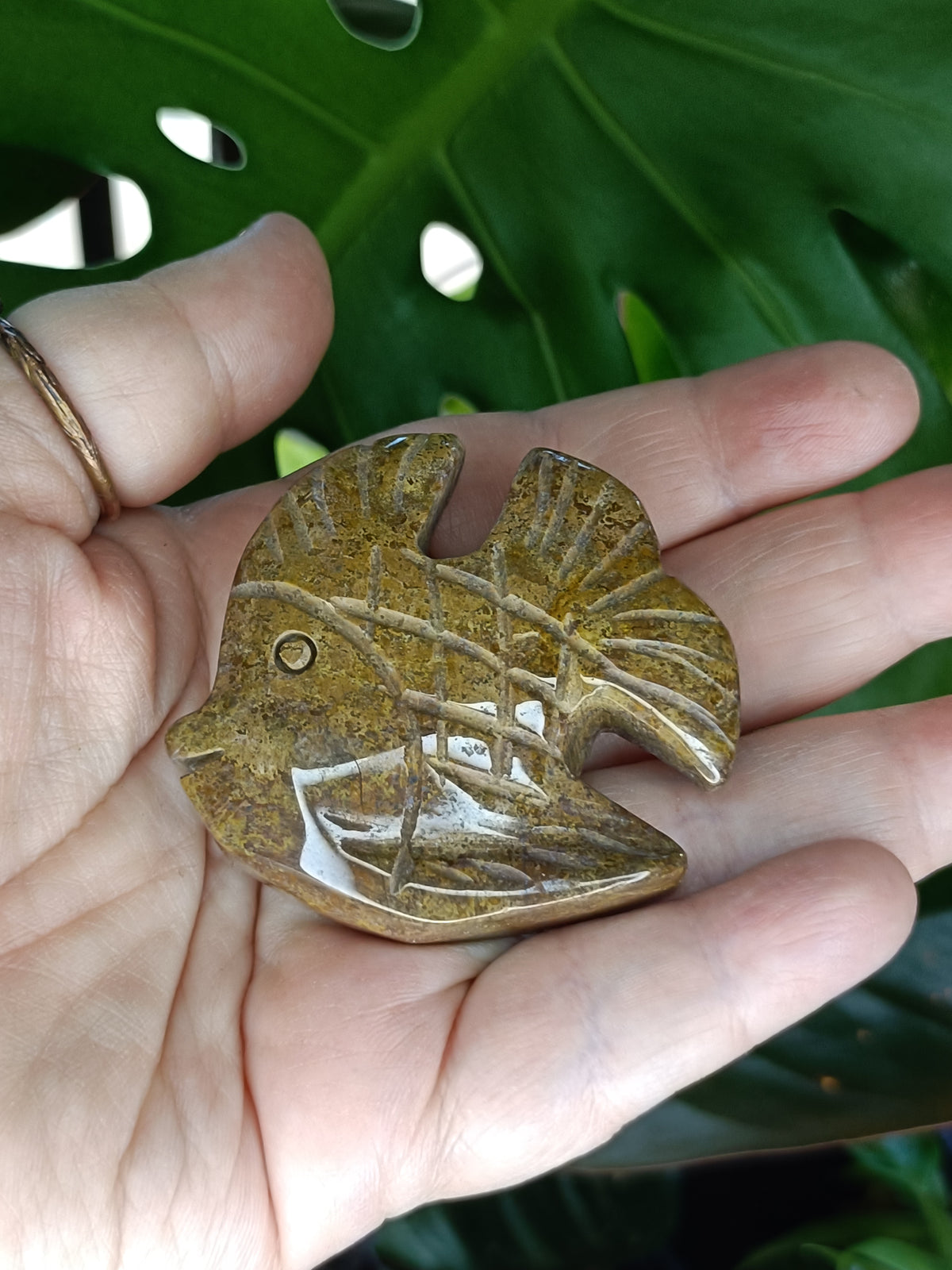 Sea Jasper Angel Fish Carving - 78g