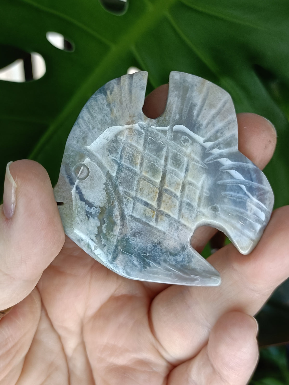 Sea Jasper Angel Fish Carving - 51g