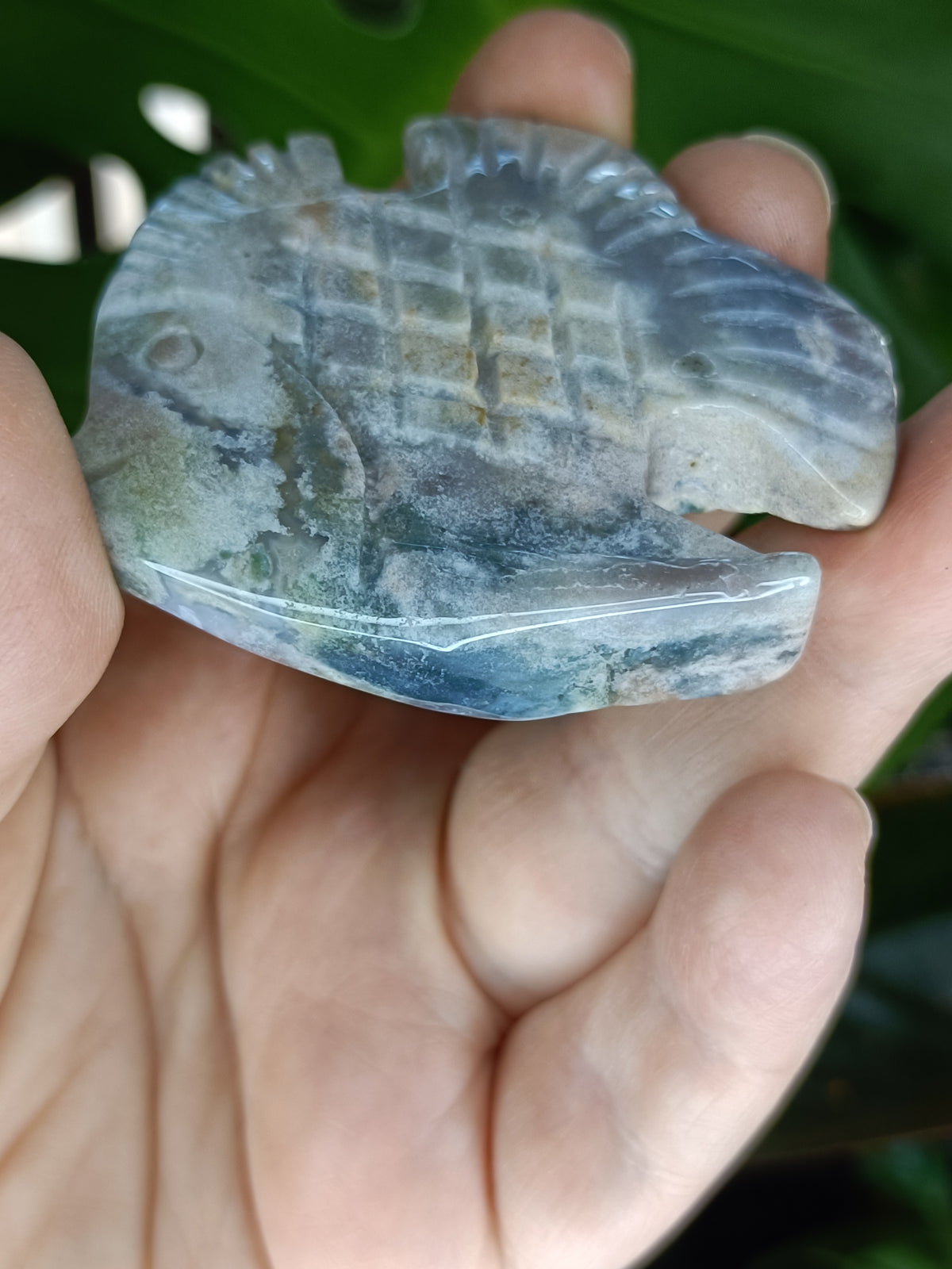 Sea Jasper Angel Fish Carving - 51g