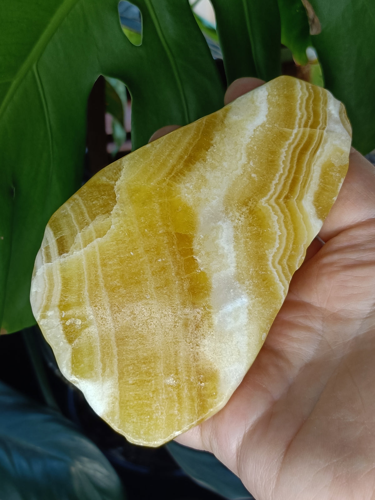 Orange Calcite Two-Headed Snake Carving - 399g