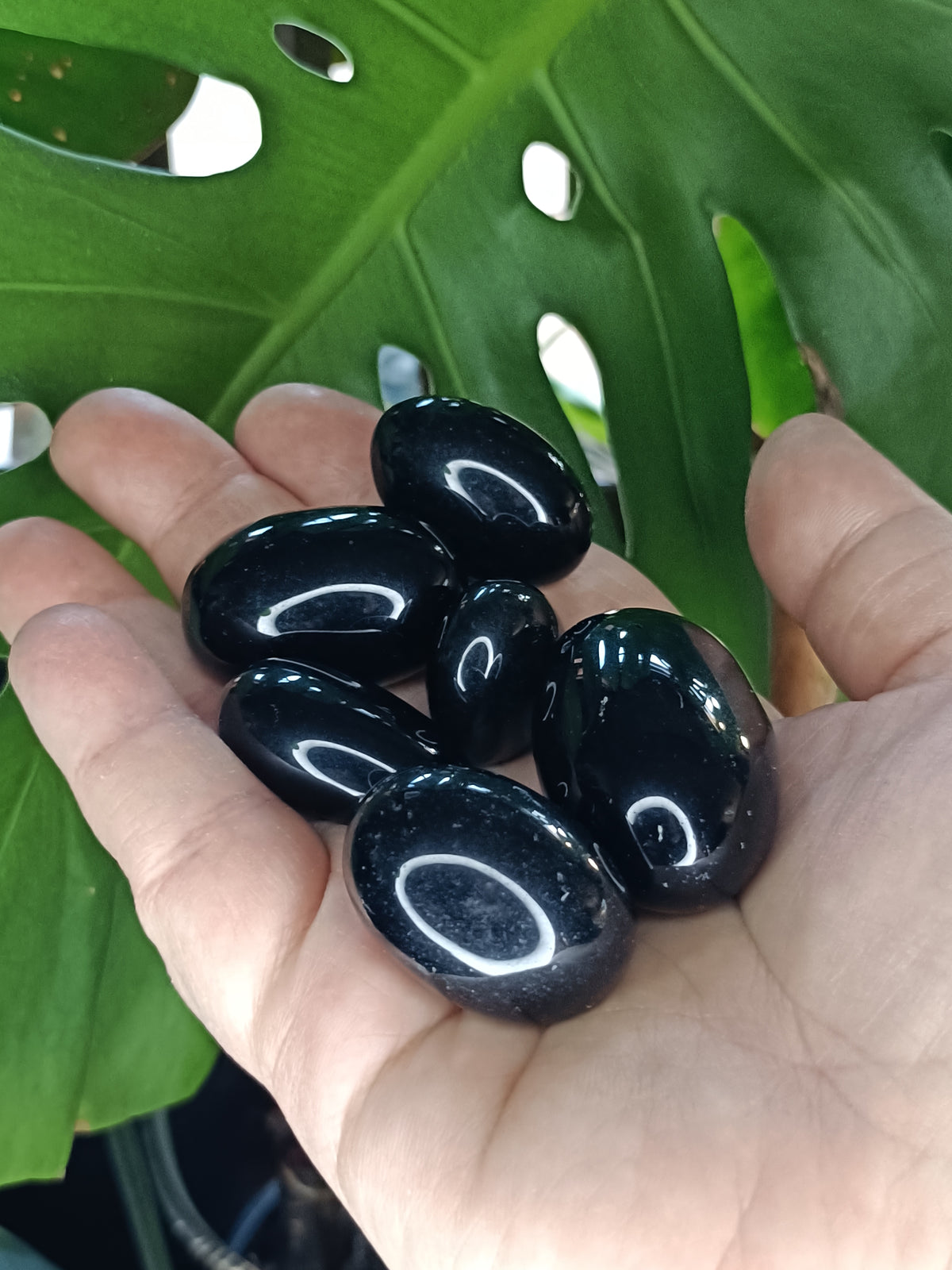 Black Obsidian Tumbles - 50g