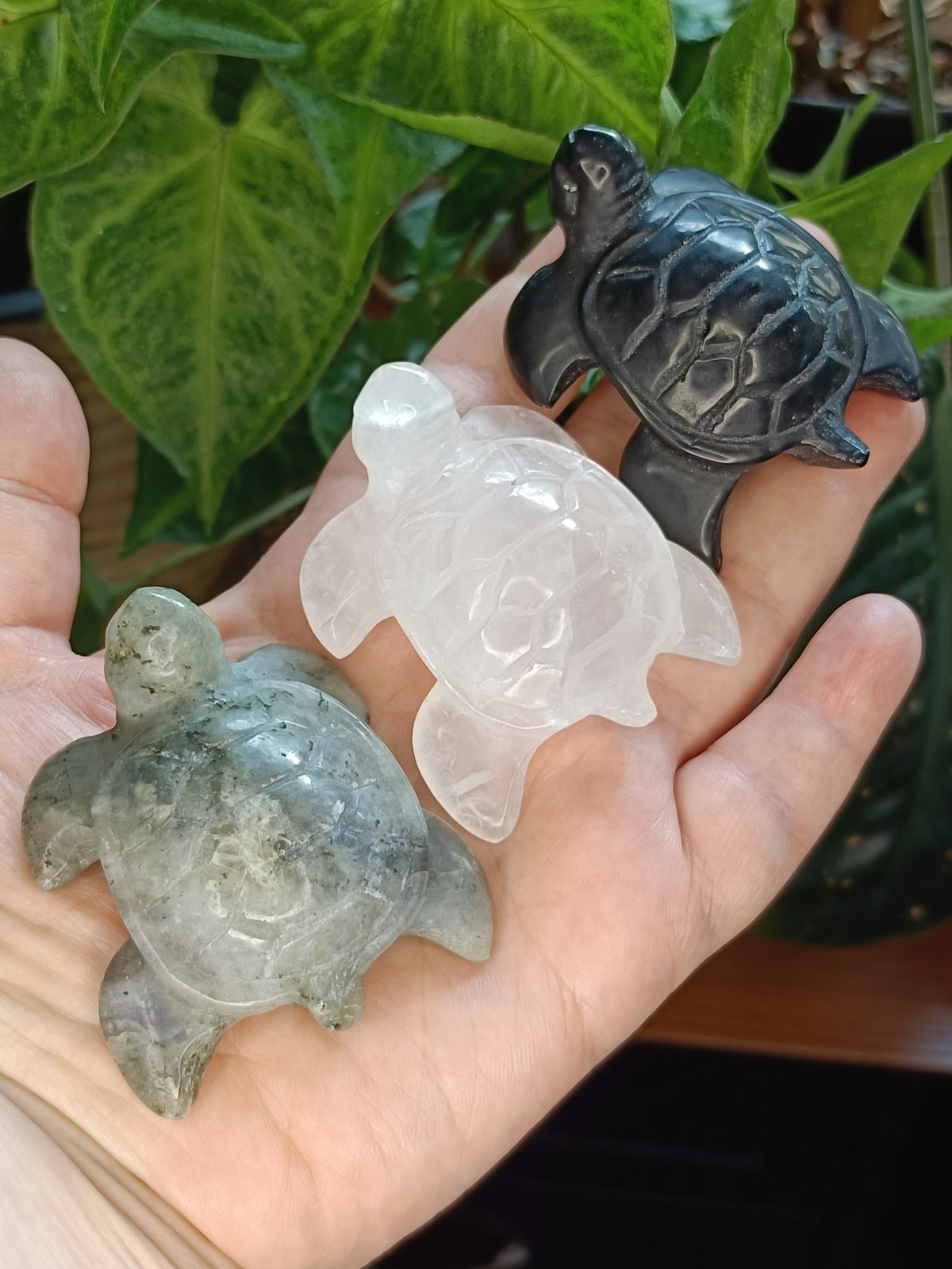 Sea Turtle Carvings - 70g