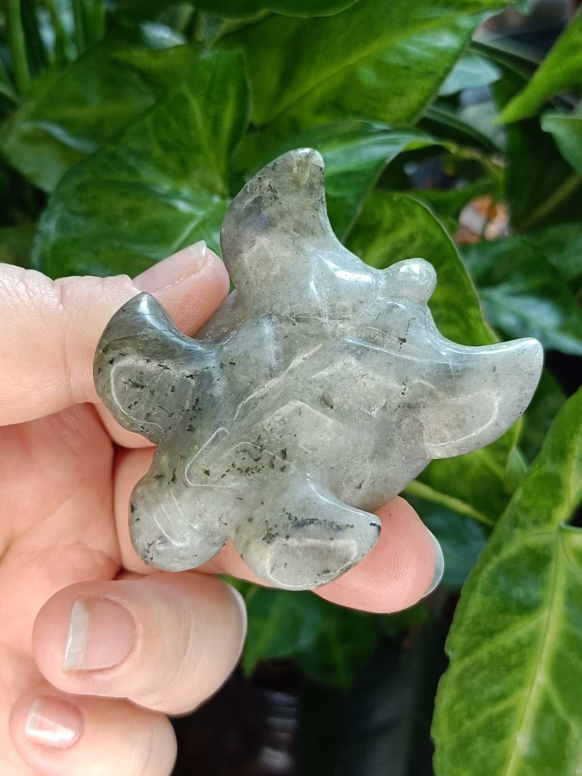 Sea Turtle Carvings - 70g