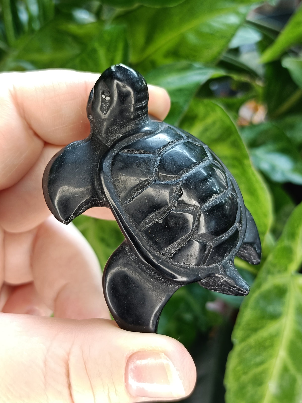 Sea Turtle Carvings - 70g