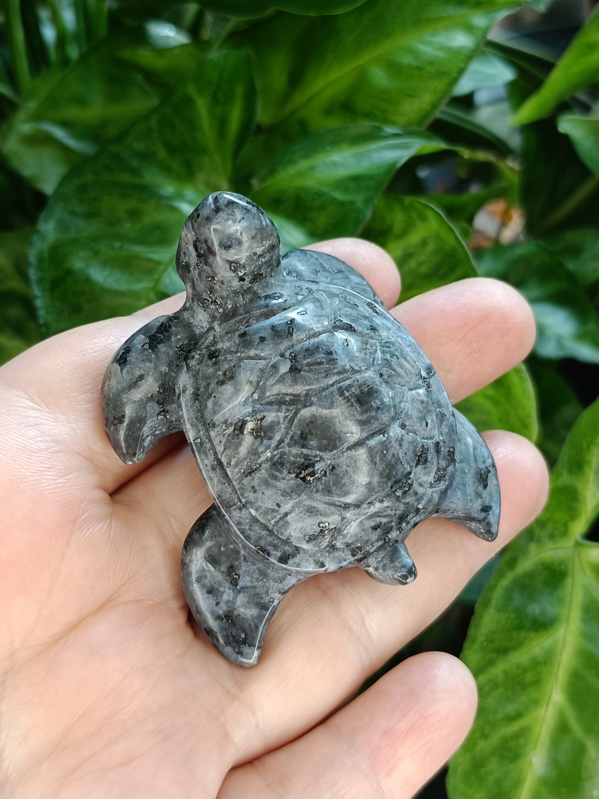 Sea Turtle Carvings - 70g