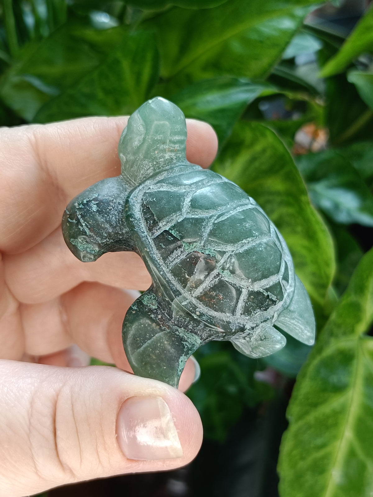 Sea Turtle Carvings - 70g