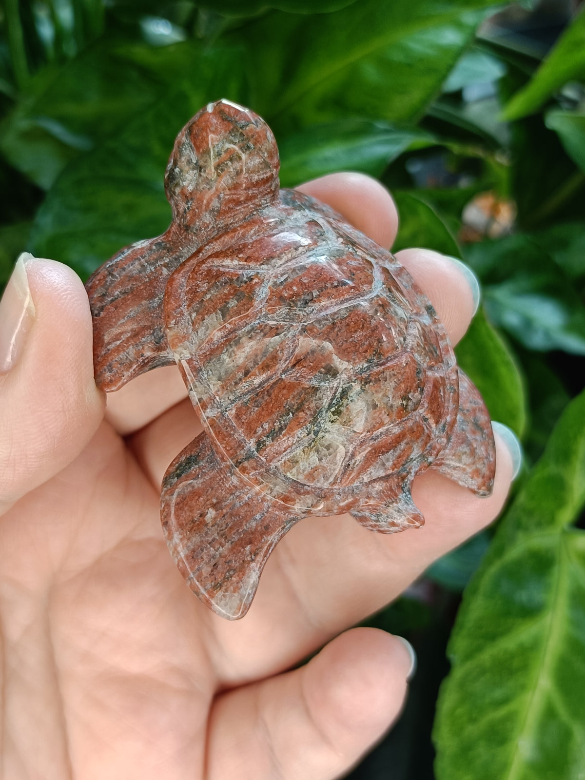 Sea Turtle Carvings - 70g