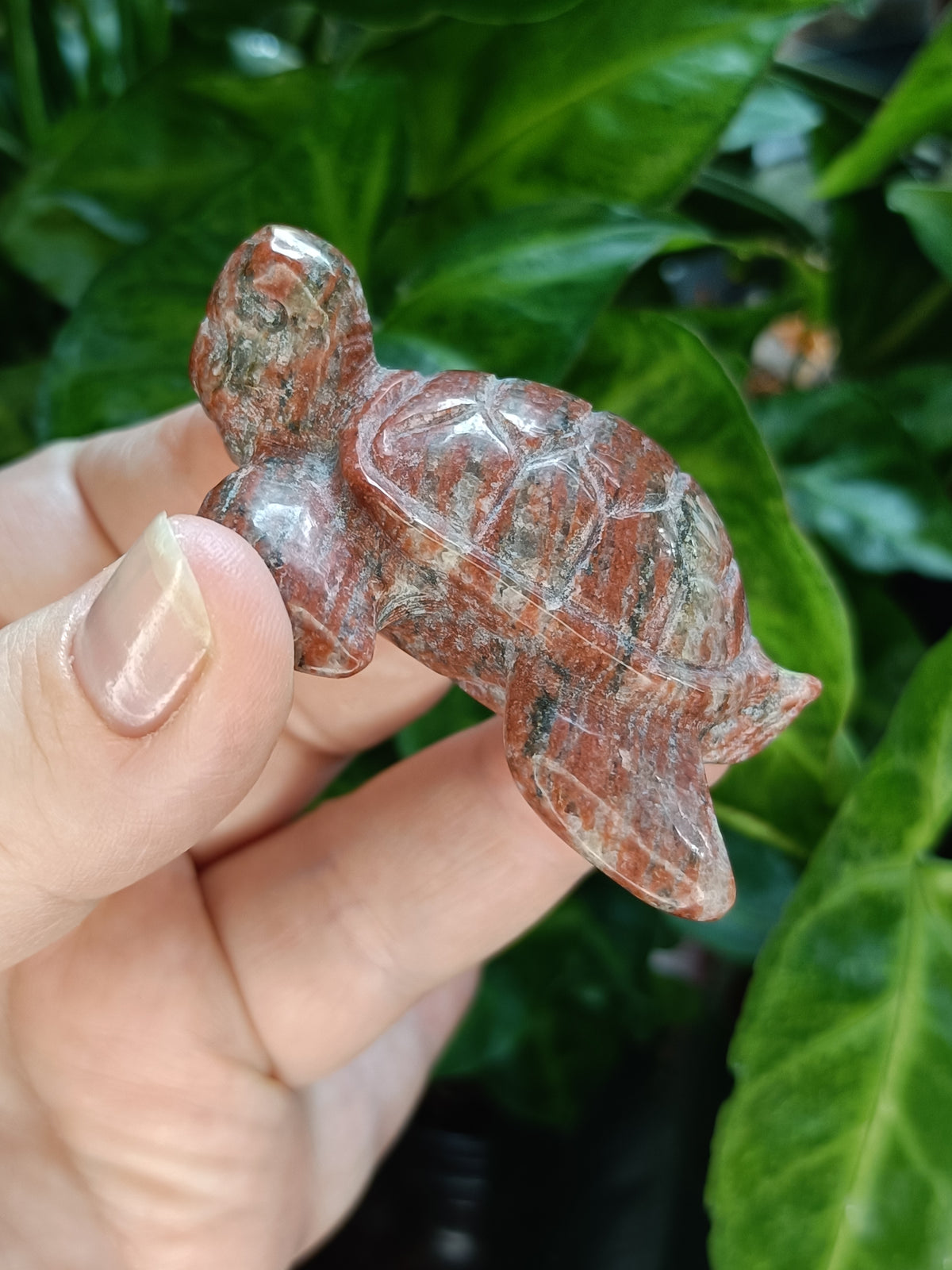 Sea Turtle Carvings - 70g