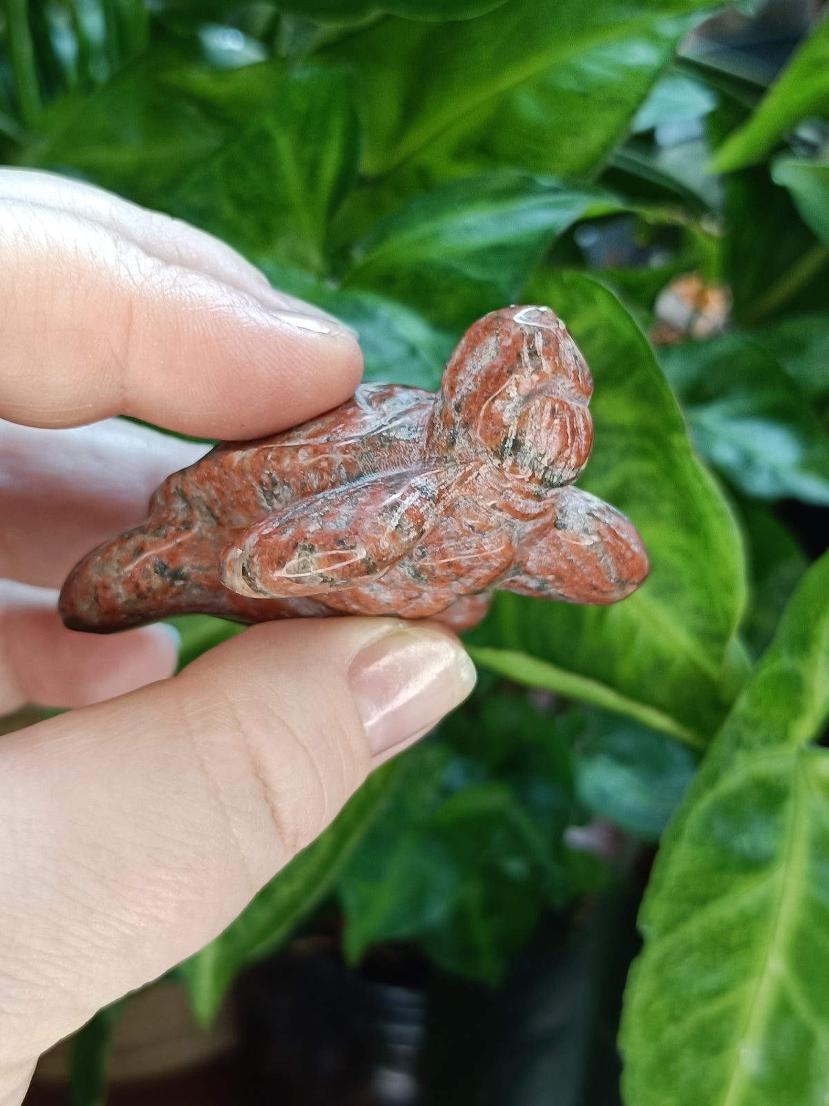 Sea Turtle Carvings - 70g