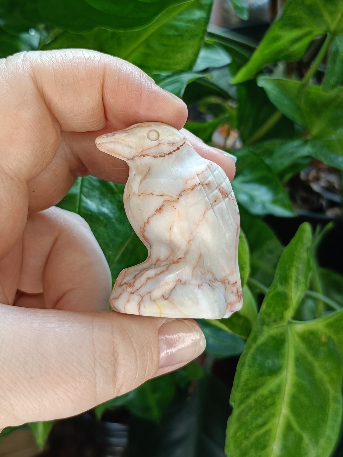 Mixed Sitting Crow Carvings - 50-60g
