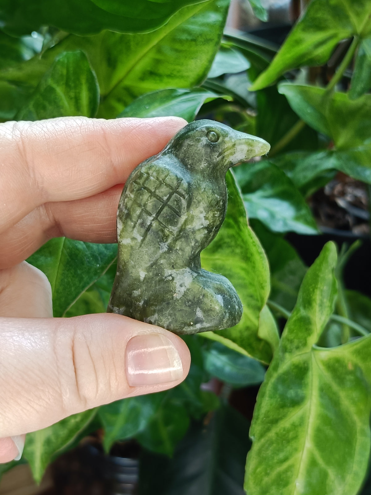 Mixed Sitting Crow Carvings - 50-60g