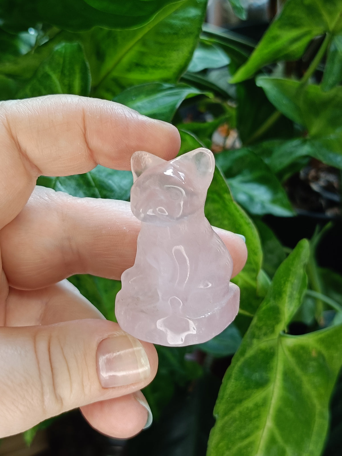 Mixed Mini French Bulldog Carving - 30-40g