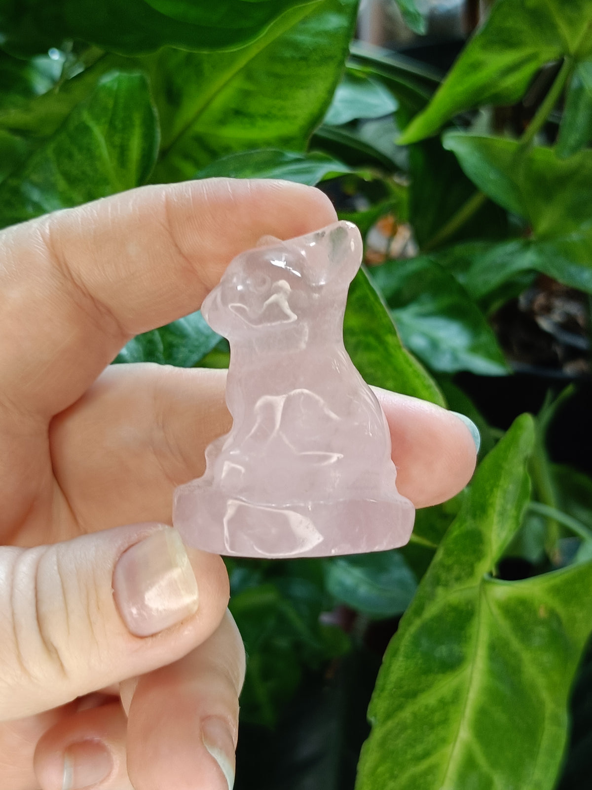 Mixed Mini French Bulldog Carving - 30-40g