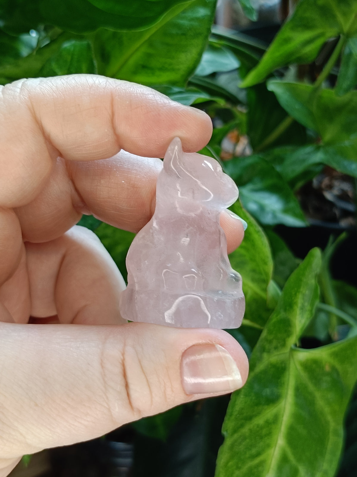 Mixed Mini French Bulldog Carving - 30-40g