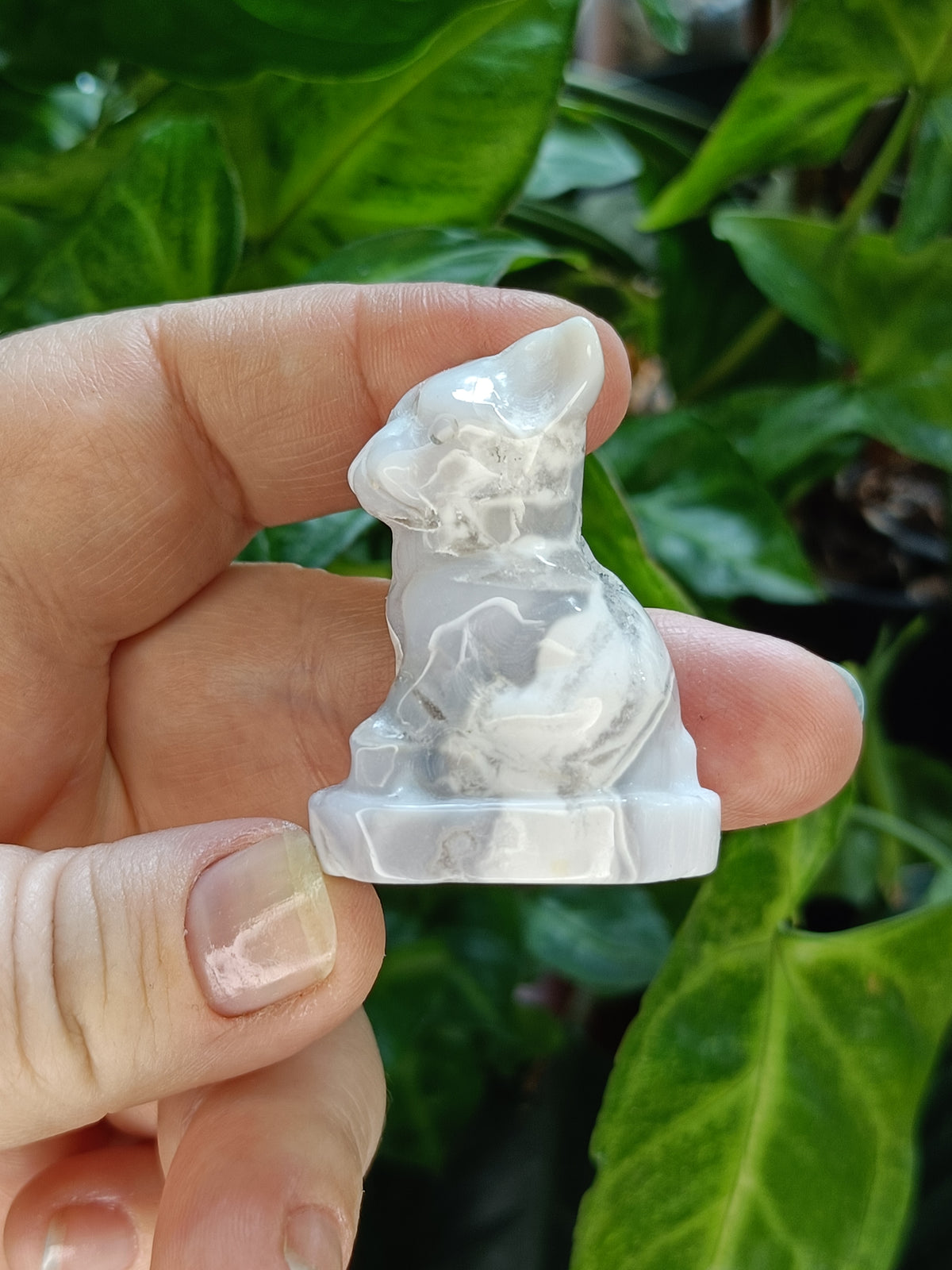 Mixed Mini French Bulldog Carving - 30-40g