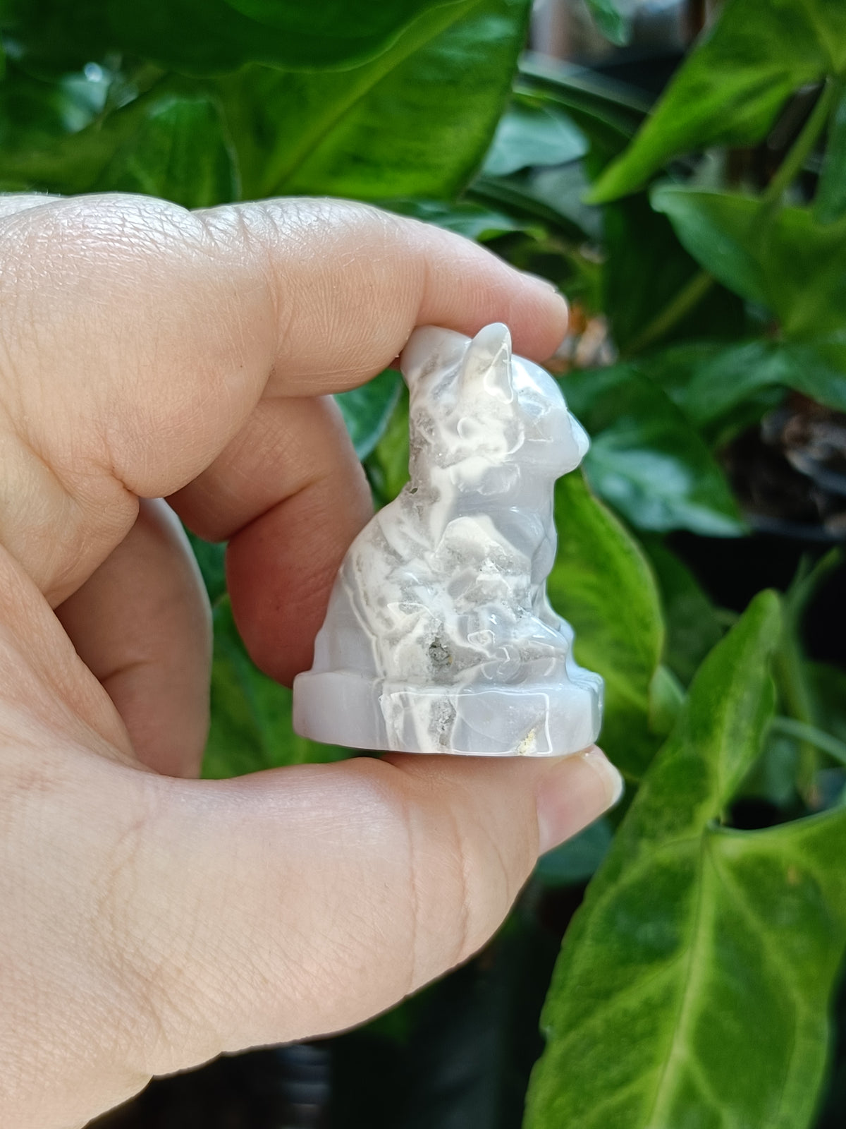 Mixed Mini French Bulldog Carving - 30-40g