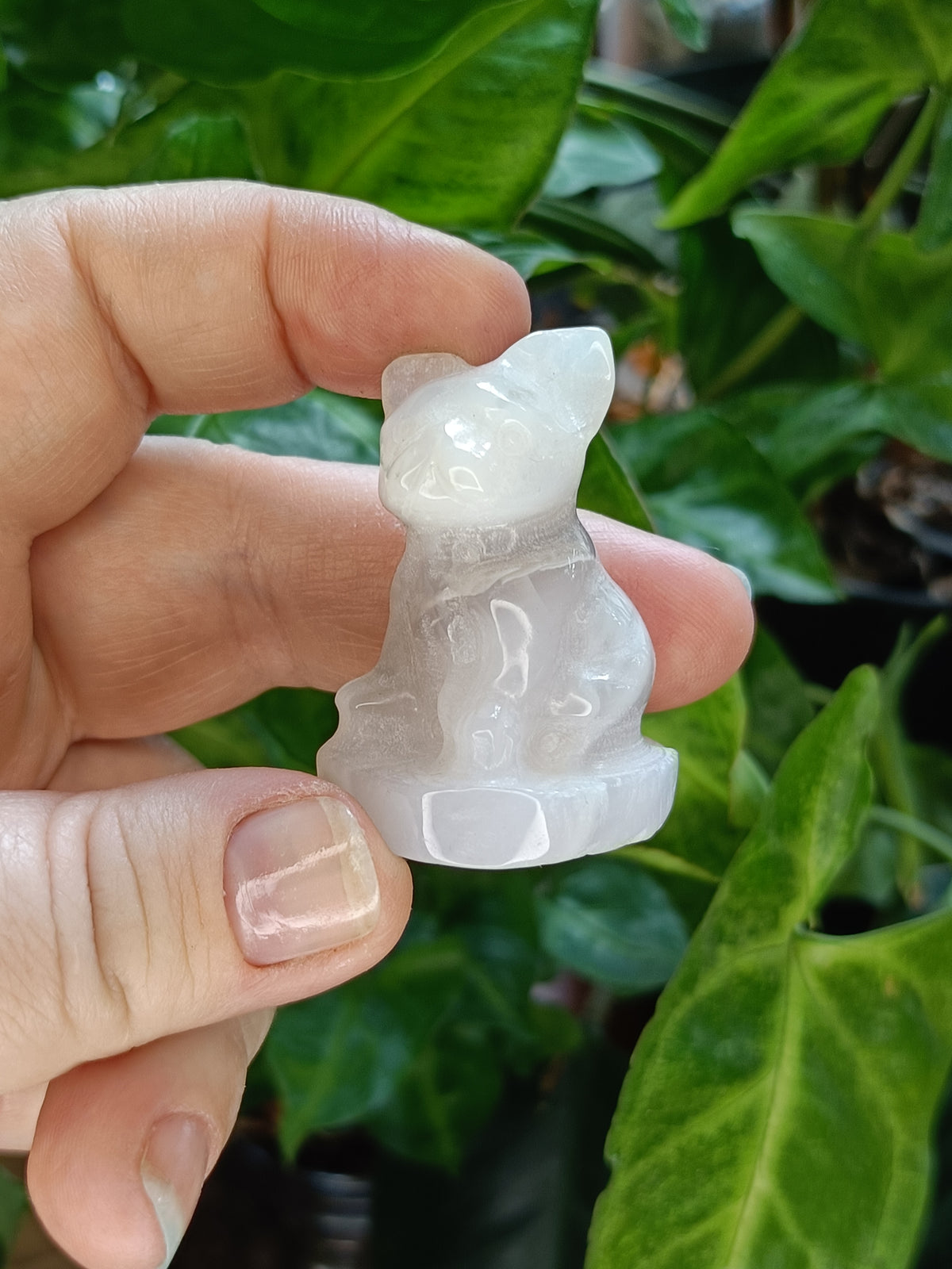 Mixed Mini French Bulldog Carving - 30-40g