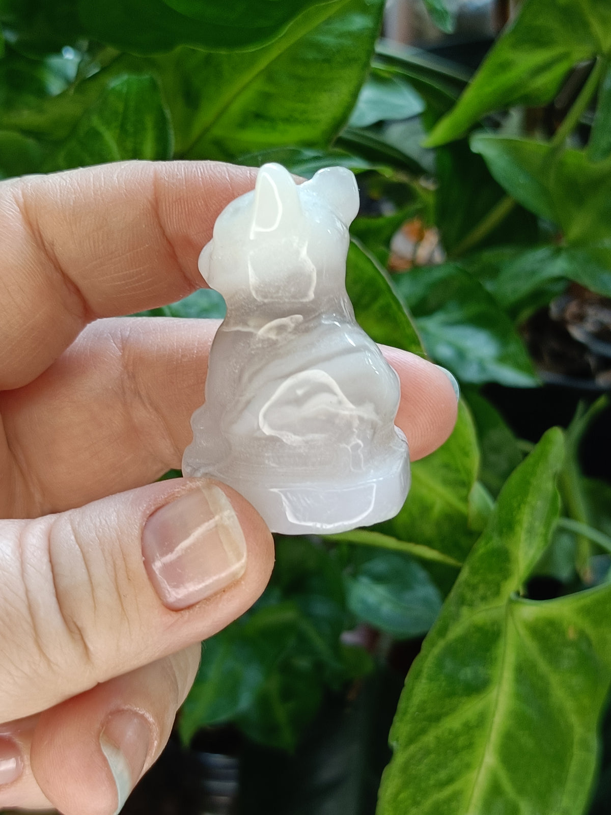 Mixed Mini French Bulldog Carving - 30-40g