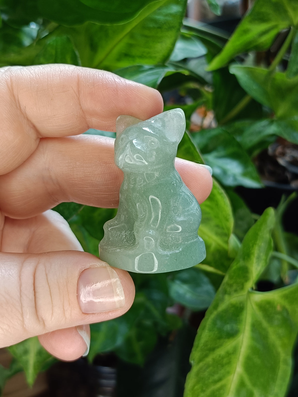 Mixed Mini French Bulldog Carving - 30-40g