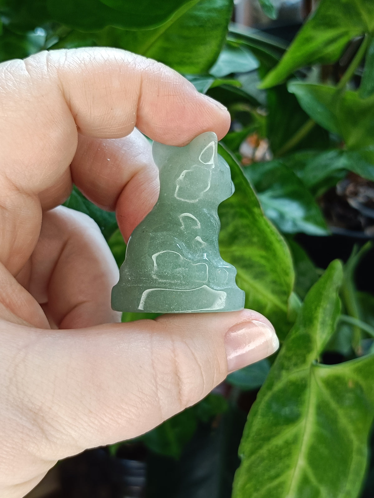 Mixed Mini French Bulldog Carving - 30-40g