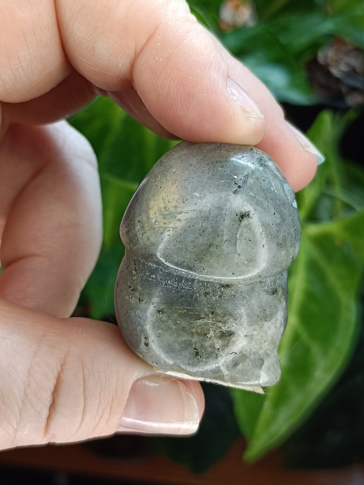 Happy Mini Mushroom Ding Dings - 20-40g