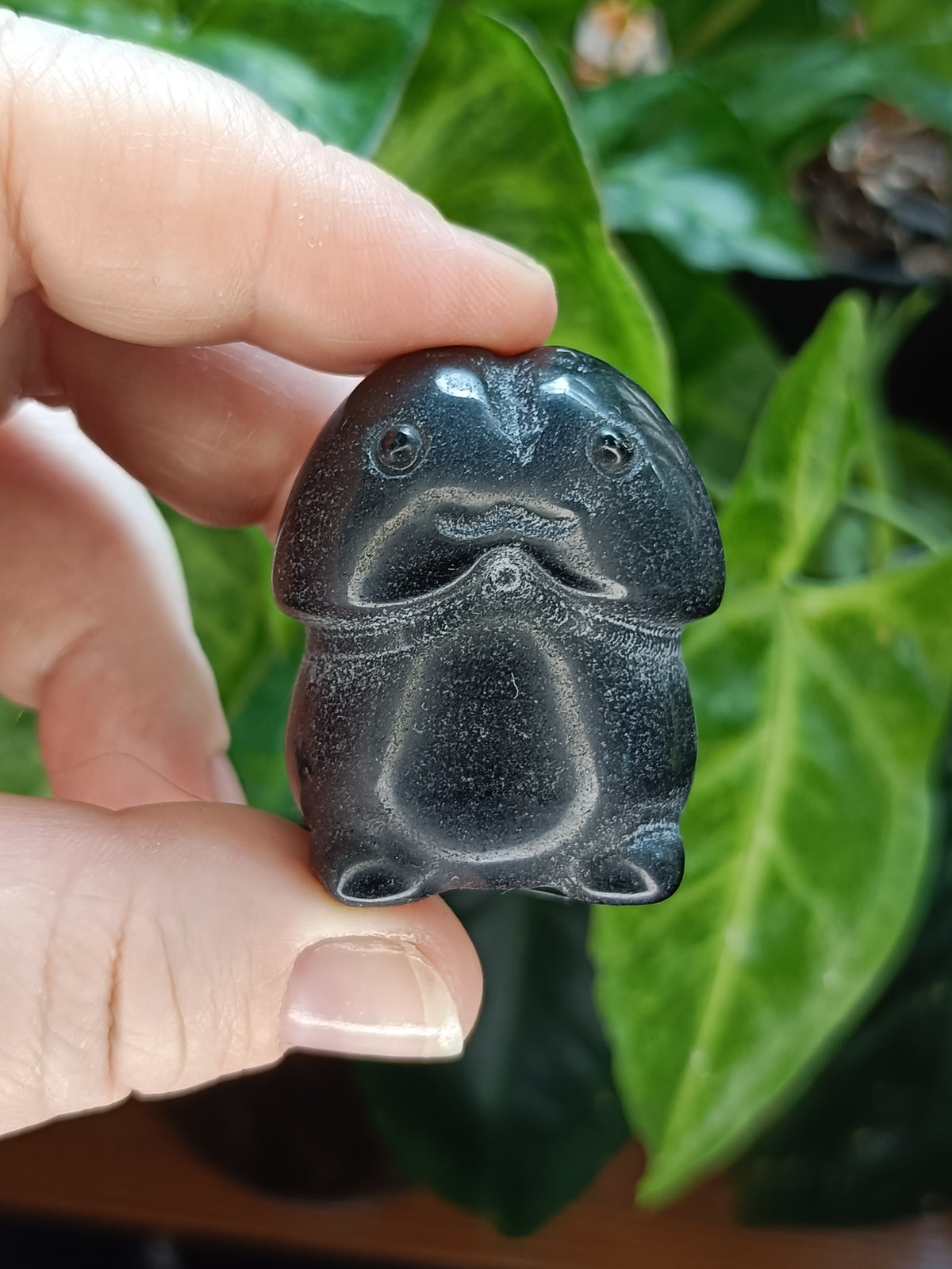 Happy Mini Mushroom Ding Dings - 20-40g
