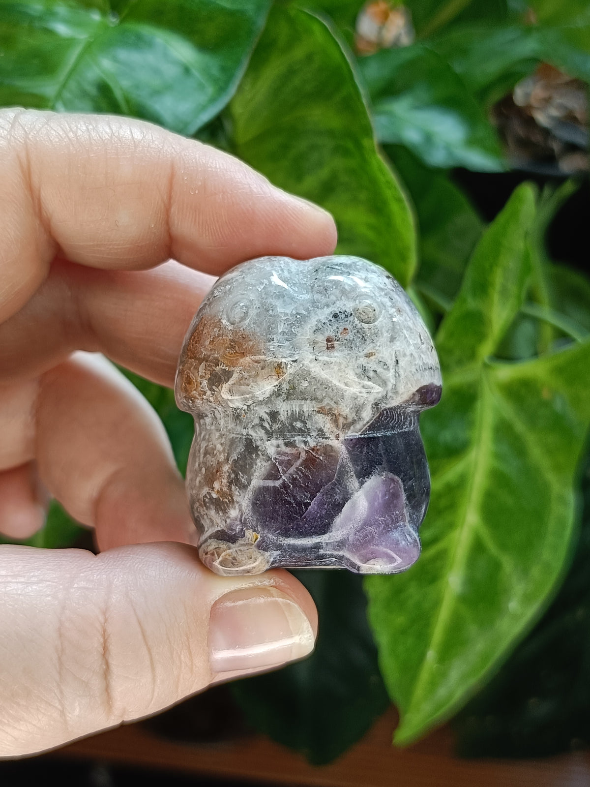 Happy Mini Mushroom Ding Dings - 20-40g