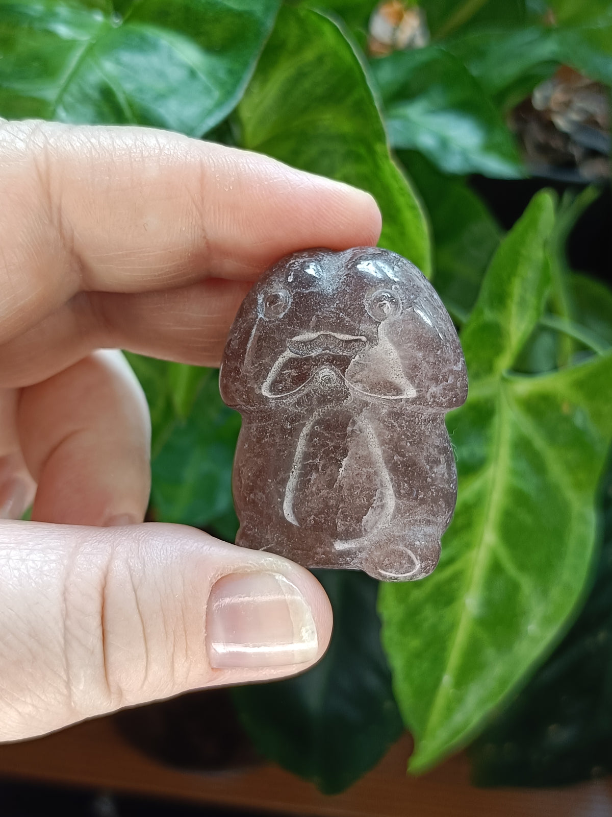 Happy Mini Mushroom Ding Dings - 20-40g