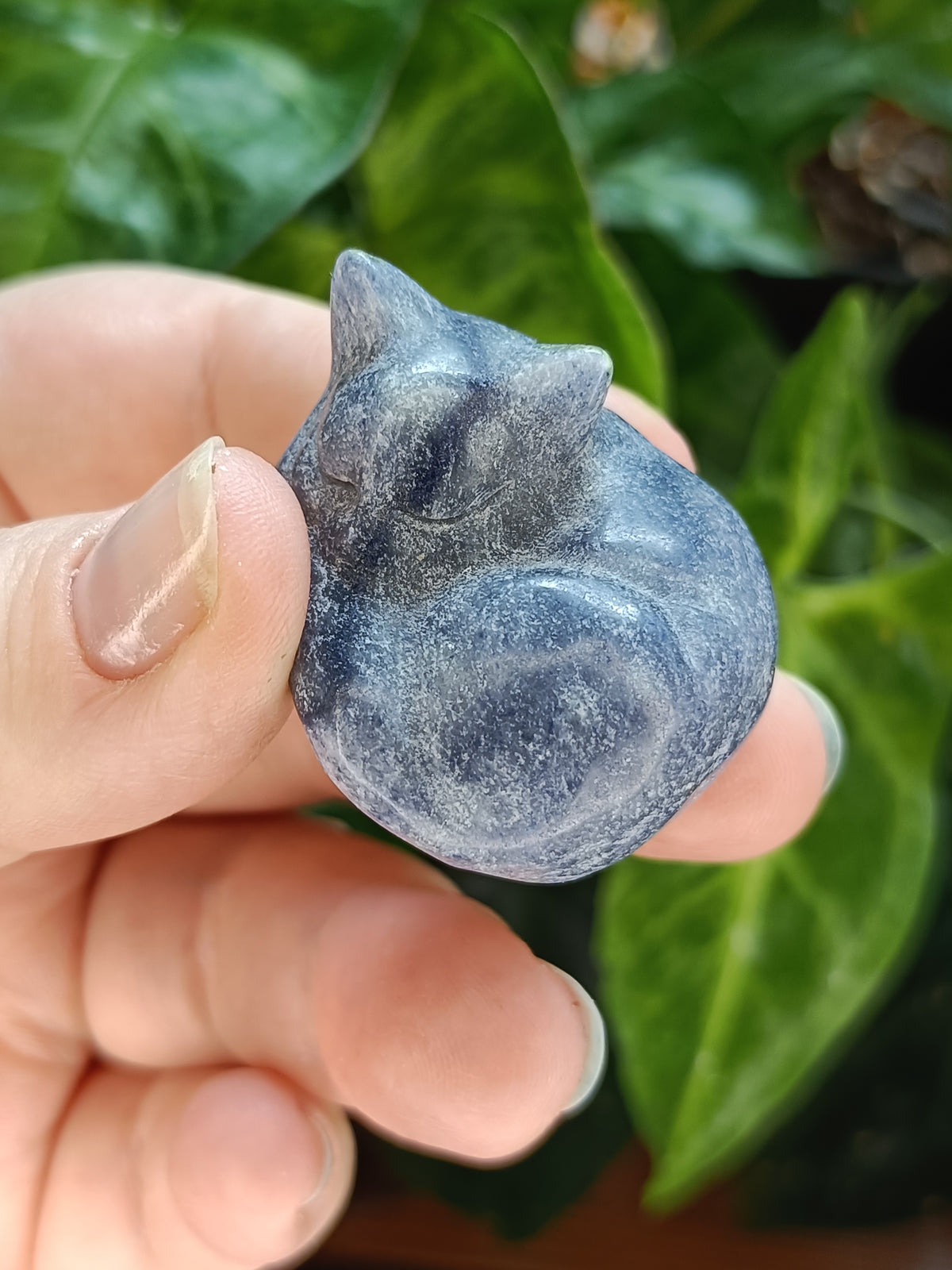 Mixed Small Sleeping Kitten Carvings - 30-40g