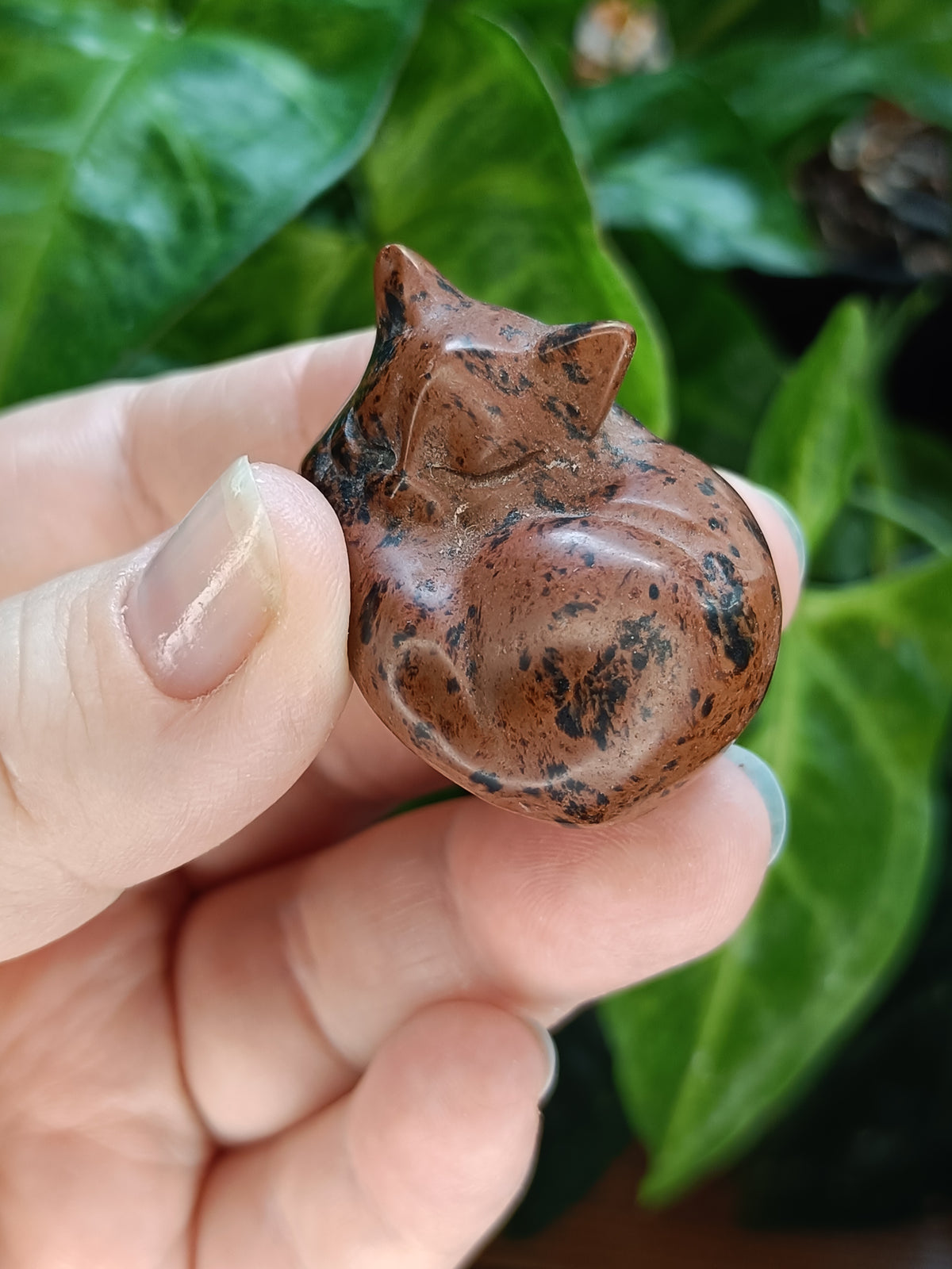 Mixed Small Sleeping Kitten Carvings - 30-40g