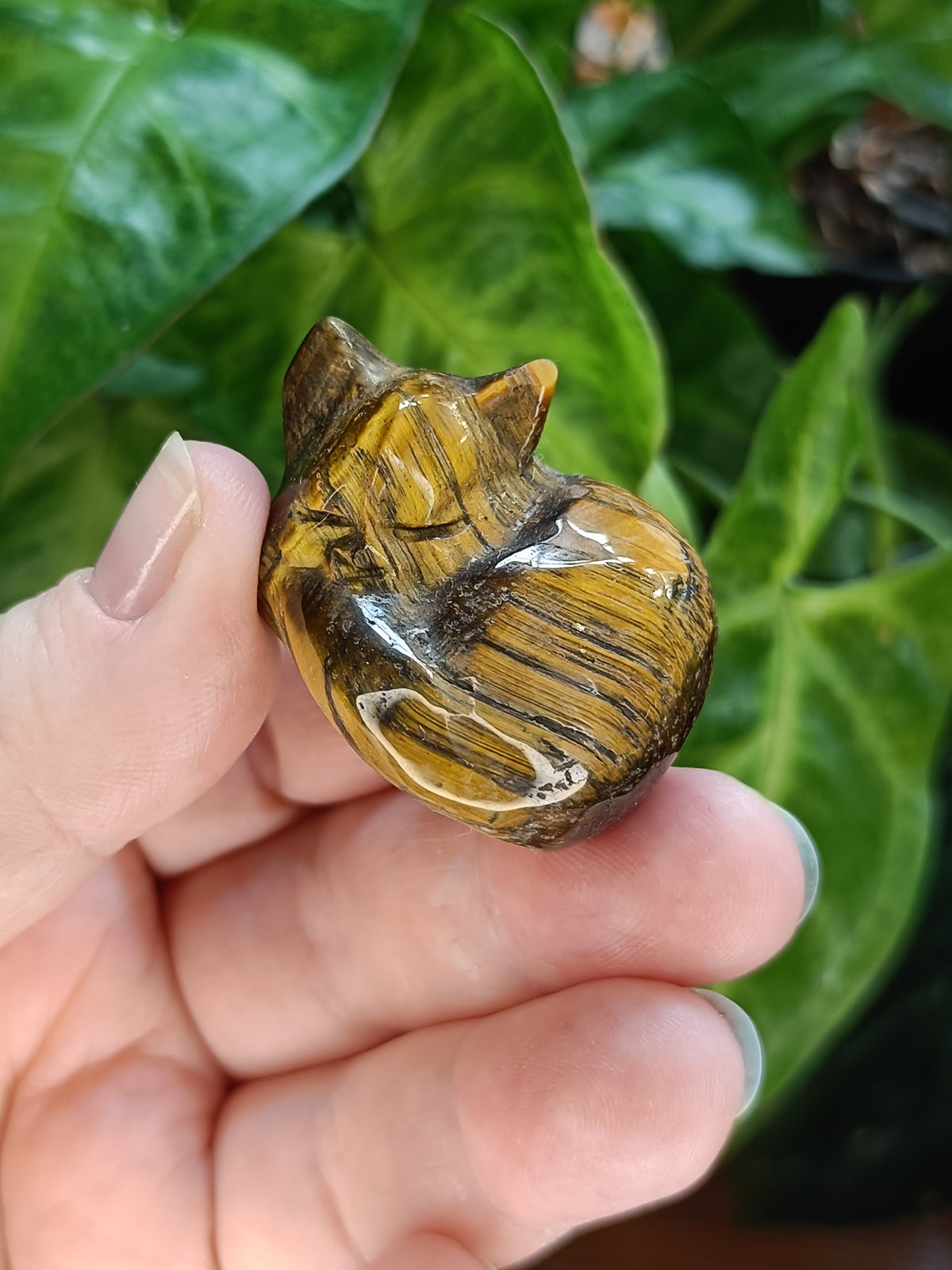 Mixed Small Sleeping Kitten Carvings - 30-40g