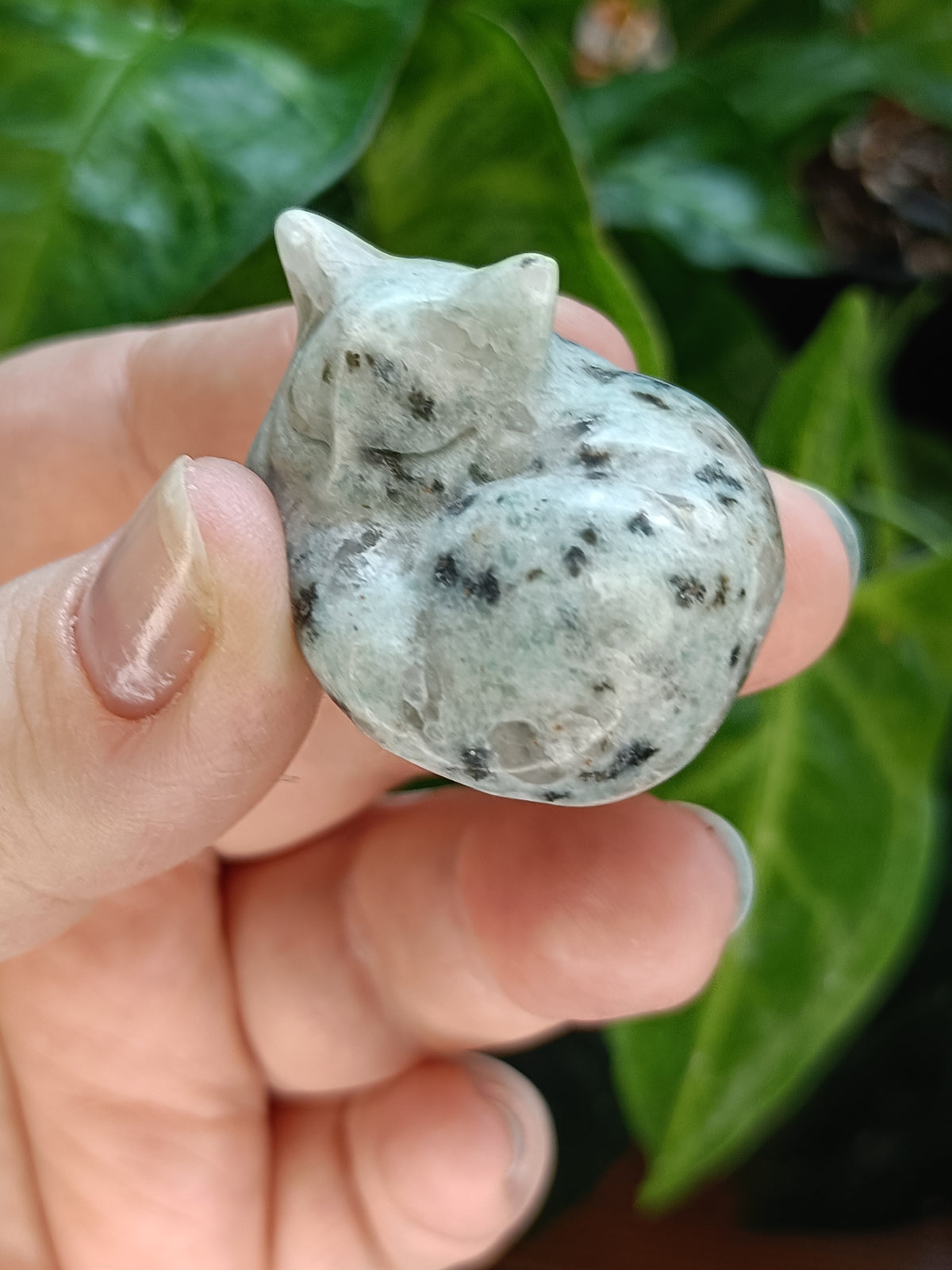 Mixed Small Sleeping Kitten Carvings - 30-40g