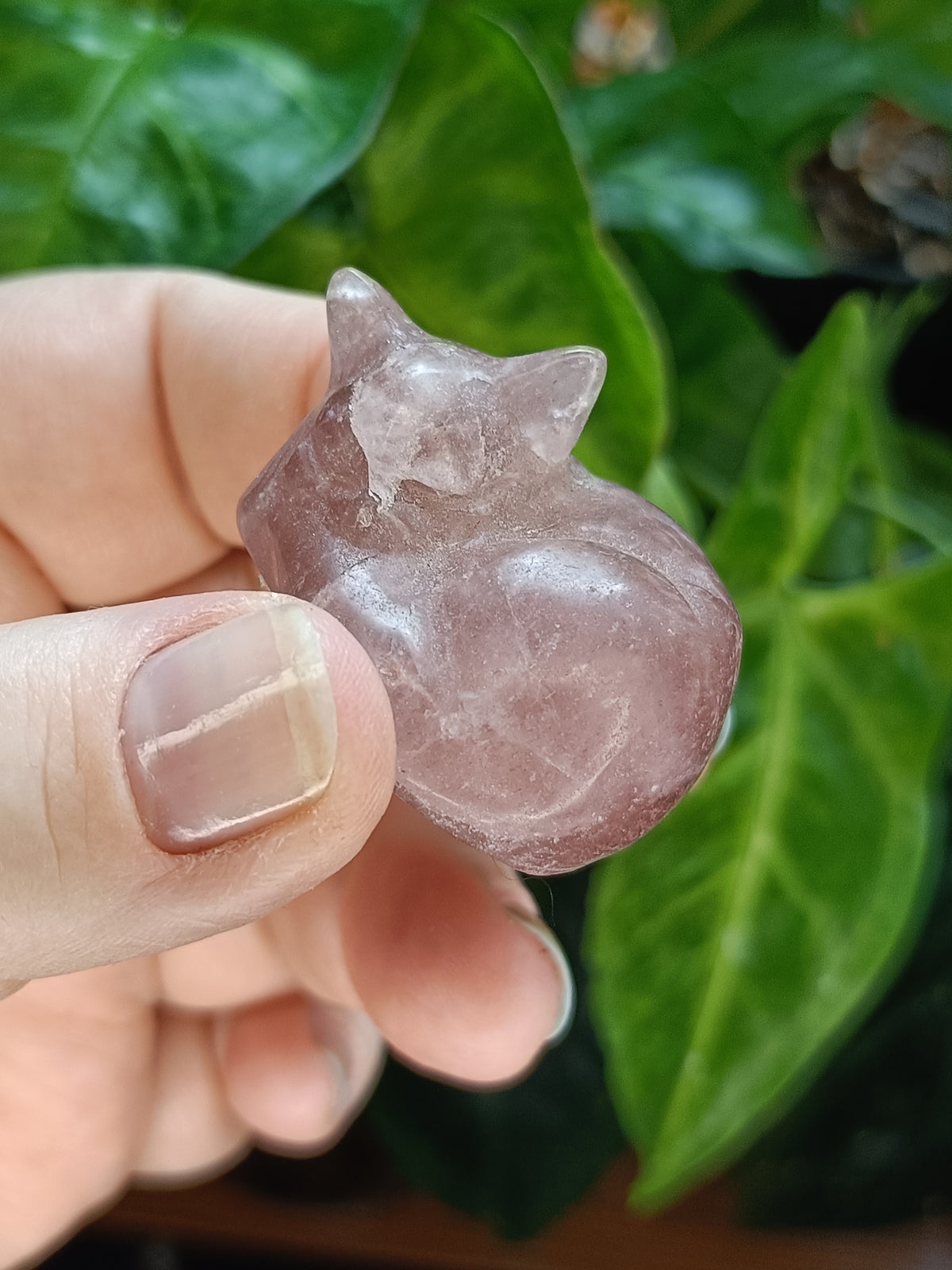 Mixed Small Sleeping Kitten Carvings - 30-40g