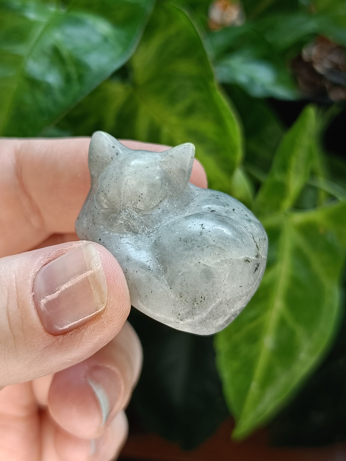 Mixed Small Sleeping Kitten Carvings - 30-40g