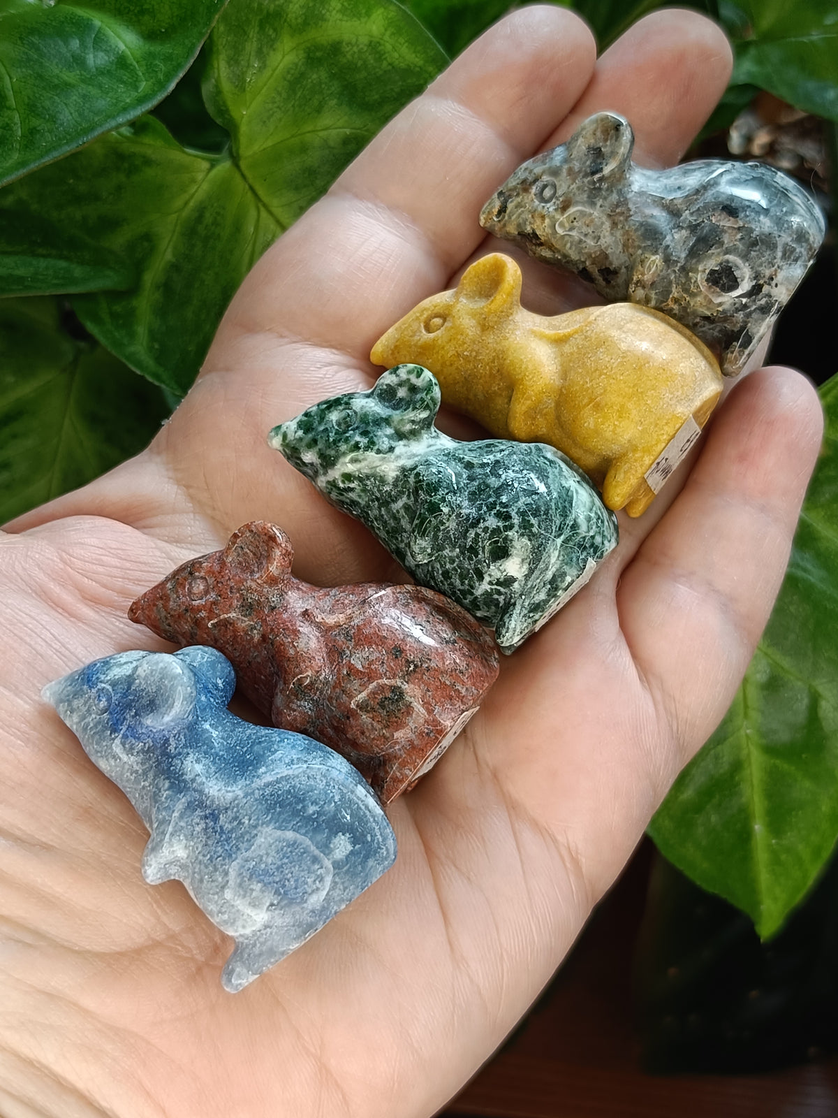 Mixed Small Curious Mouse Carvings - 25-35g