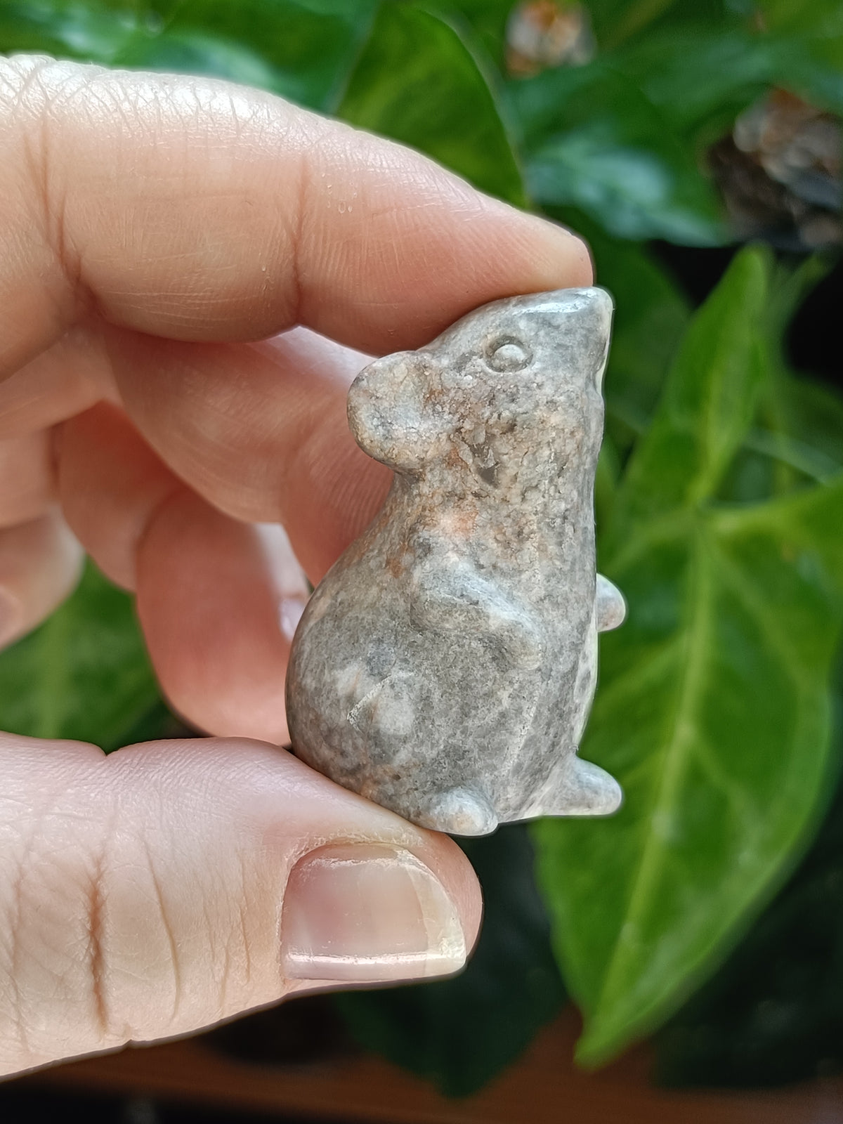 Mixed Small Curious Mouse Carvings - 25-35g
