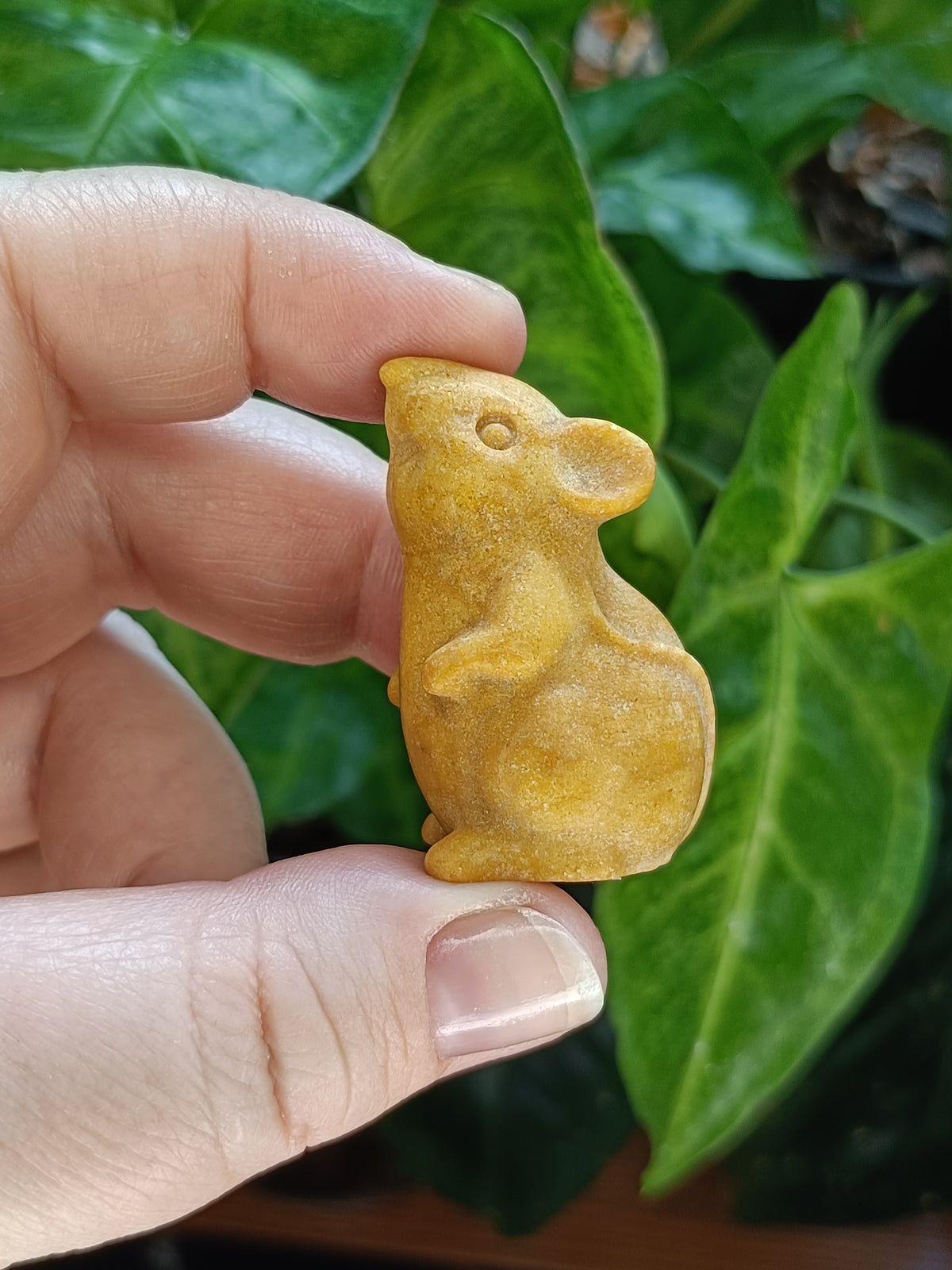 Mixed Small Curious Mouse Carvings - 25-35g