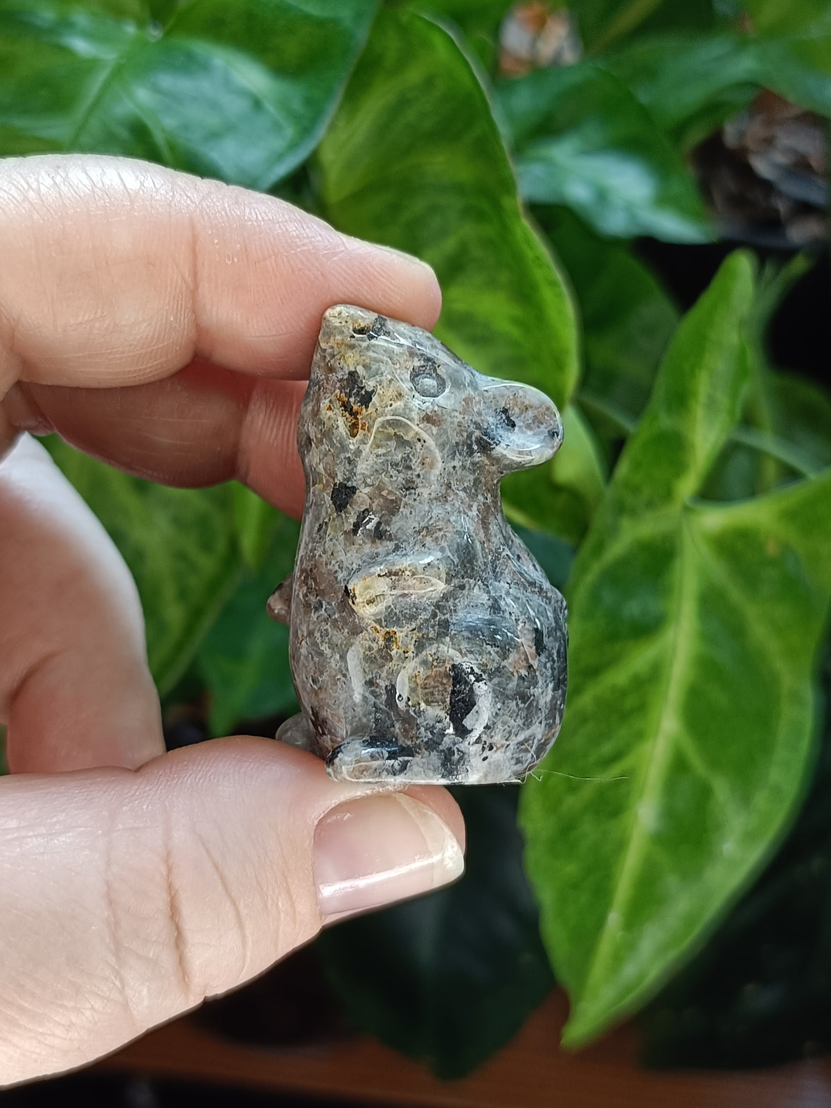 Mixed Small Curious Mouse Carvings - 25-35g