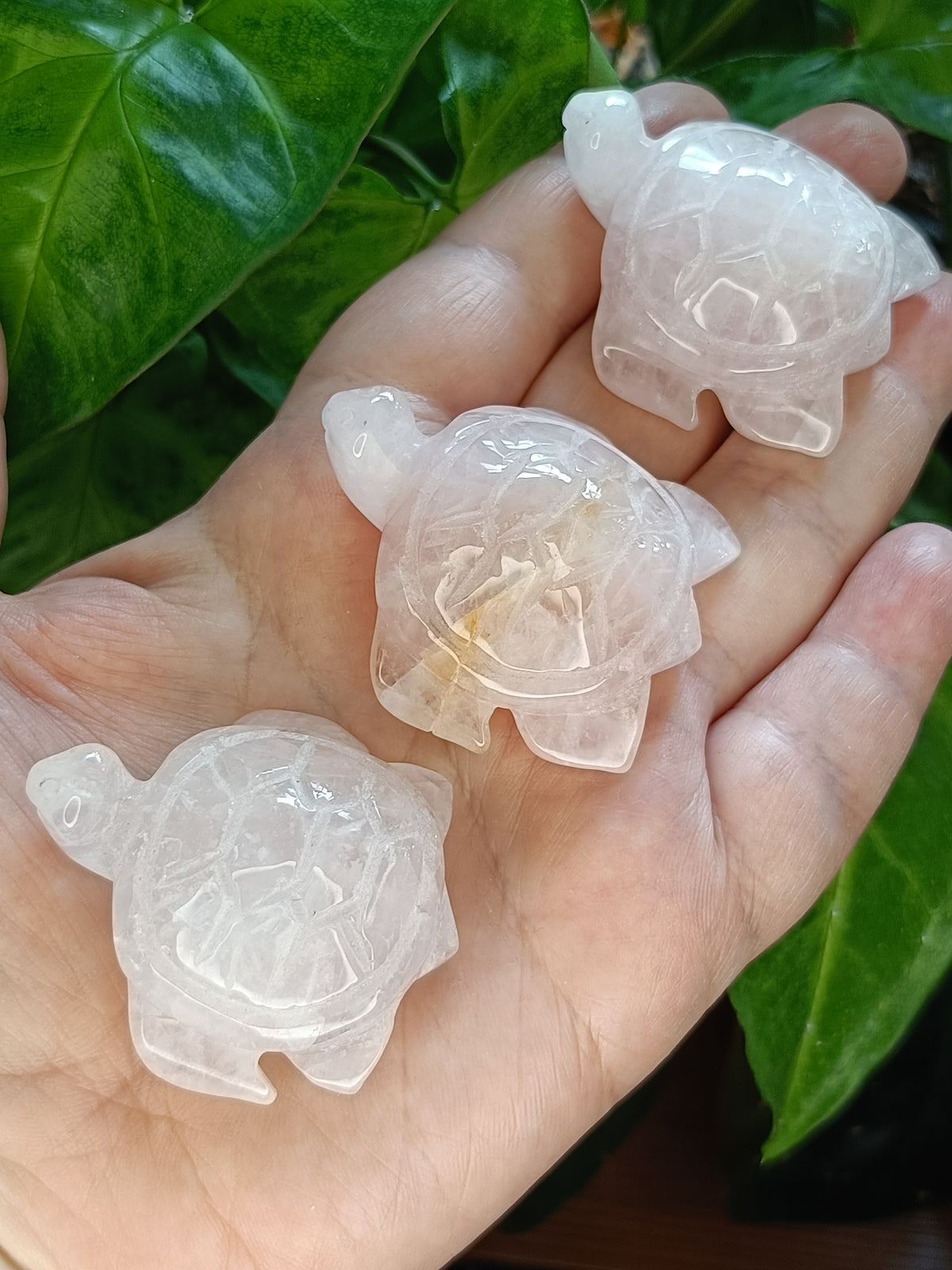Rose Quartz Sea Turtle Mini Carving - 40g