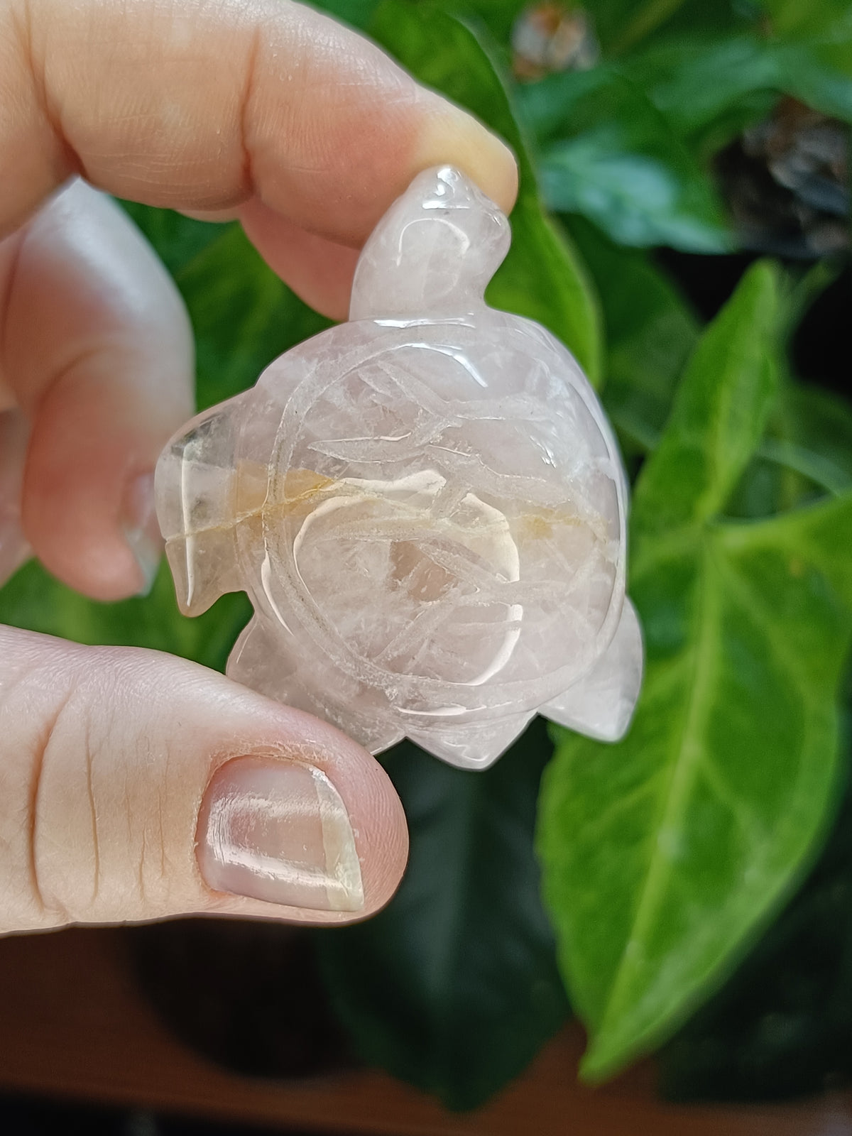 Rose Quartz Sea Turtle Mini Carving - 40g