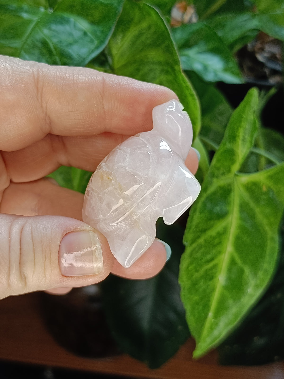 Rose Quartz Sea Turtle Mini Carving - 40g