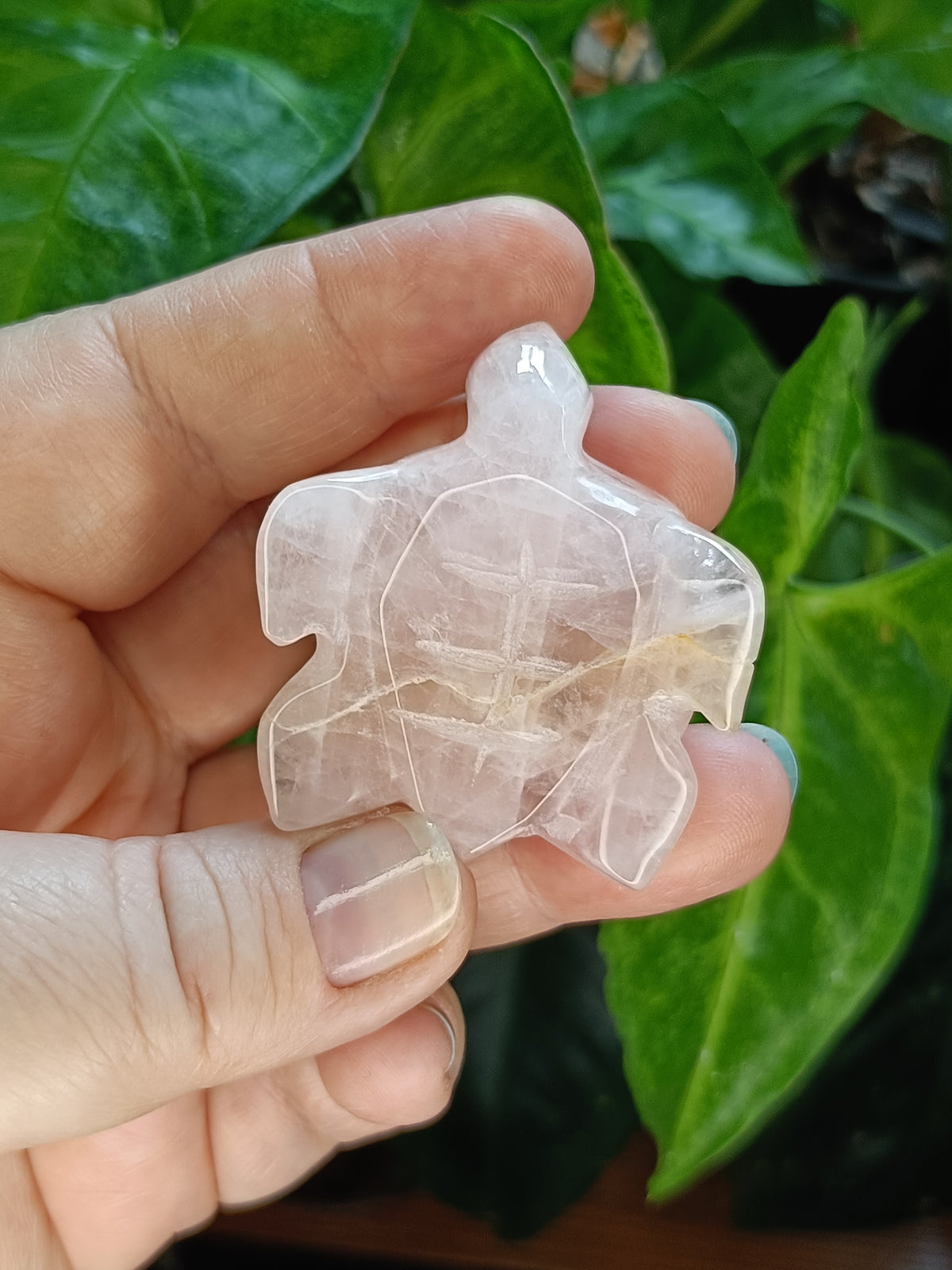 Rose Quartz Sea Turtle Mini Carving - 40g