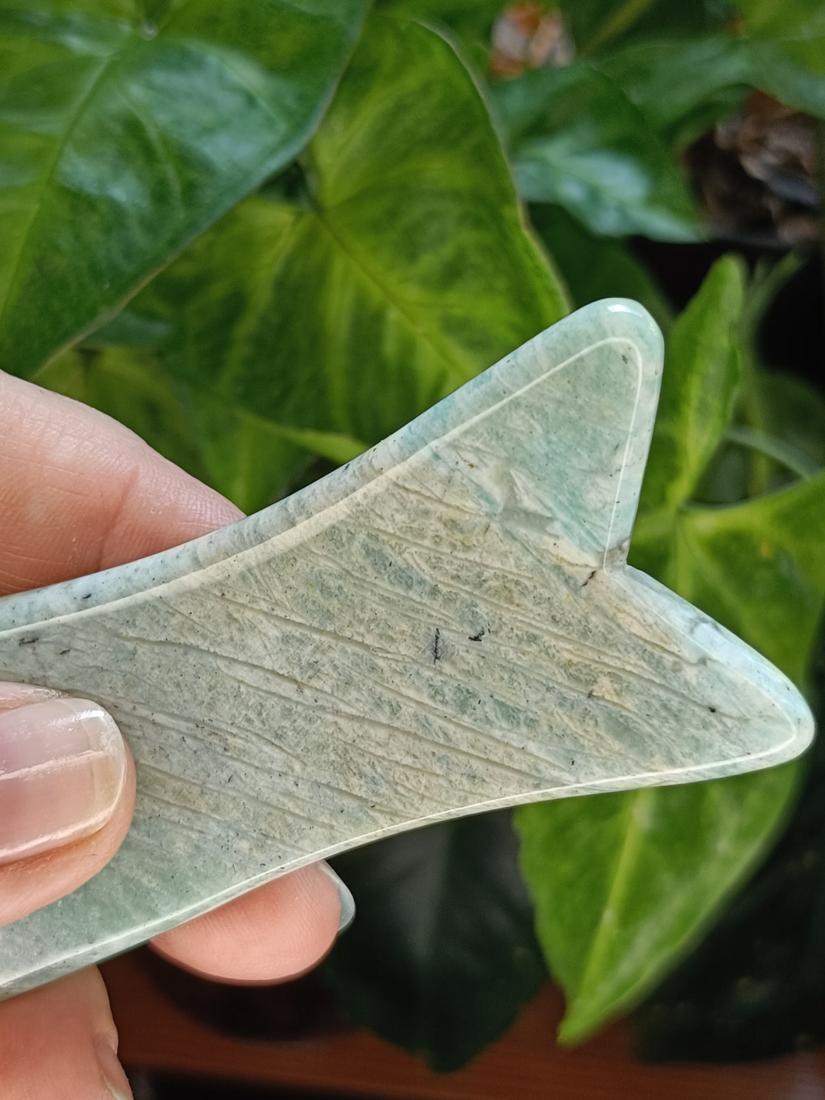 Amazonite Gua Sha - Natural Stone Face Roller