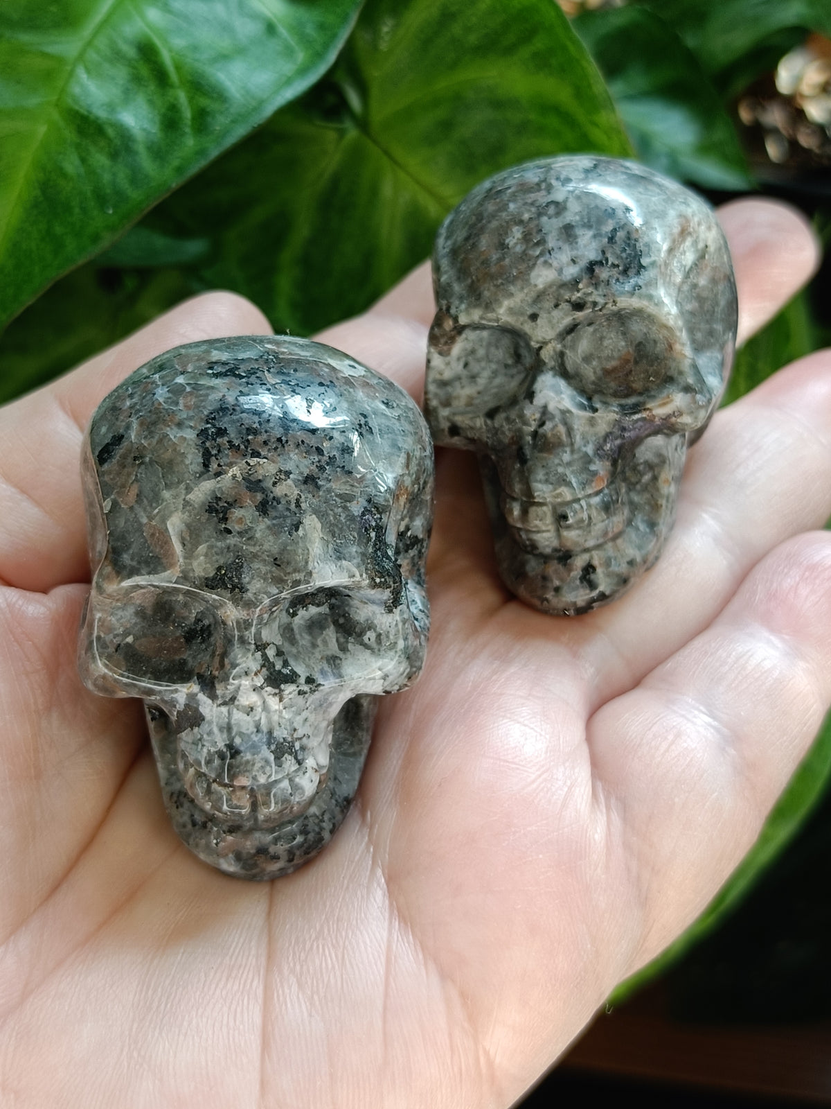 Small Sodalite & Syenite 'Emberlite/Yooperlite' Skull Carving - 100g