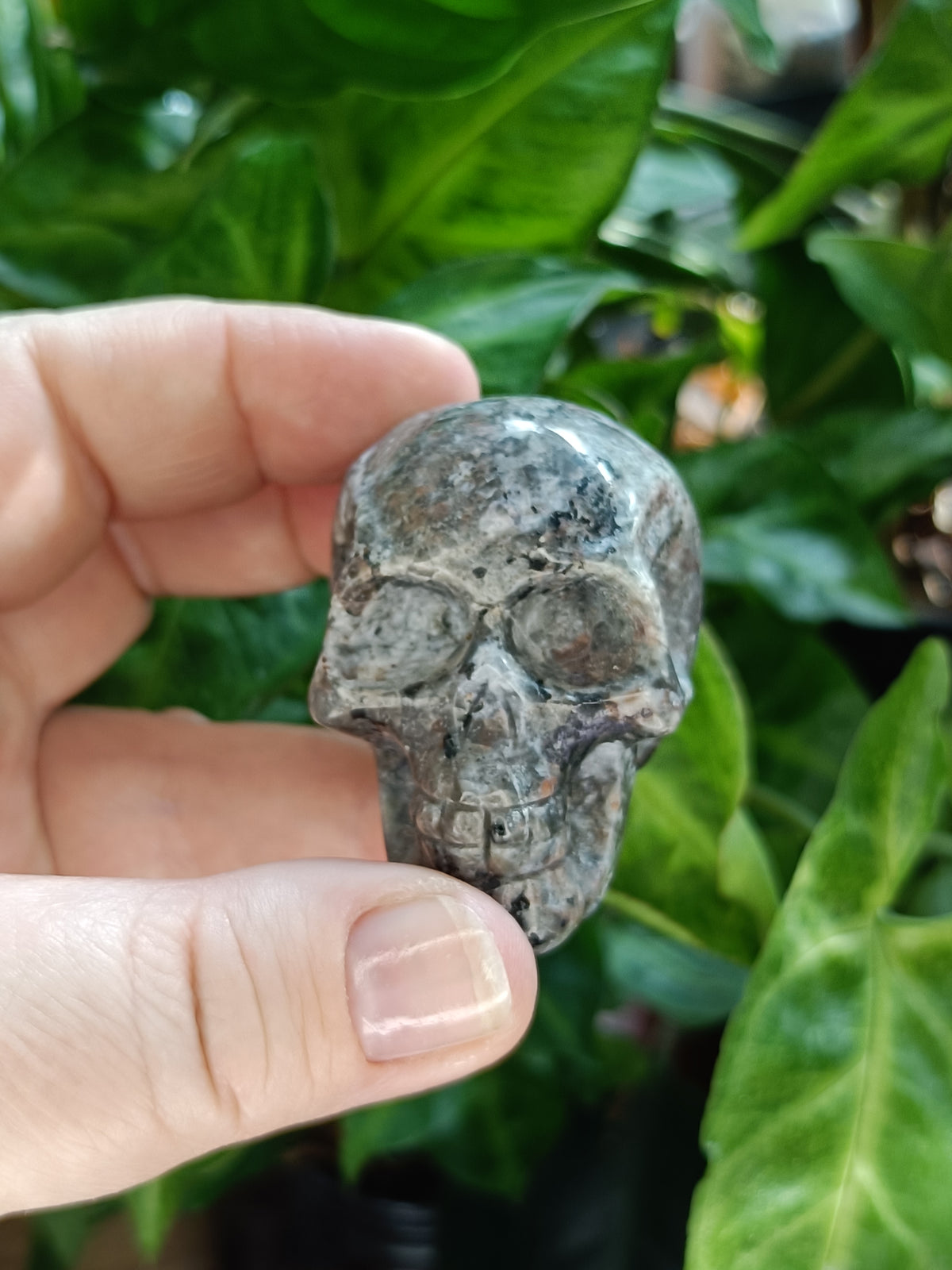 Small Sodalite & Syenite 'Emberlite/Yooperlite' Skull Carving - 100g