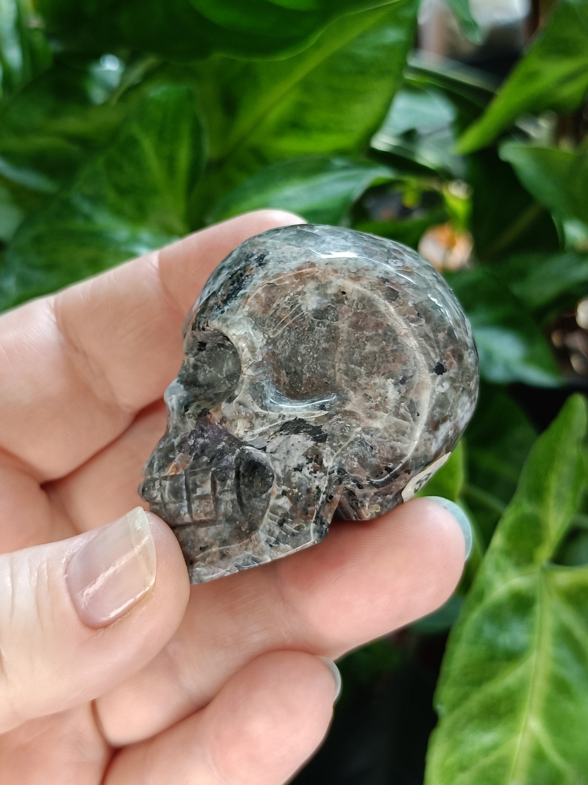 Small Sodalite & Syenite 'Emberlite/Yooperlite' Skull Carving - 100g