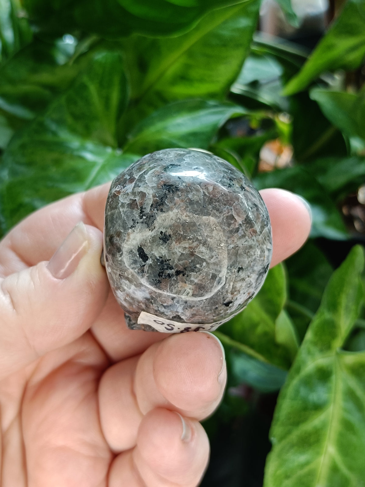 Small Sodalite & Syenite 'Emberlite/Yooperlite' Skull Carving - 100g