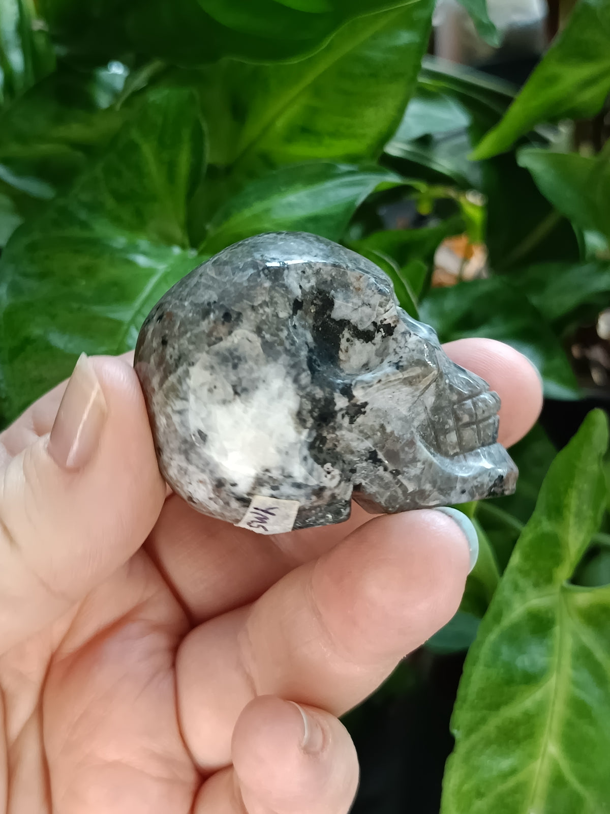 Small Sodalite & Syenite 'Emberlite/Yooperlite' Skull Carving - 100g