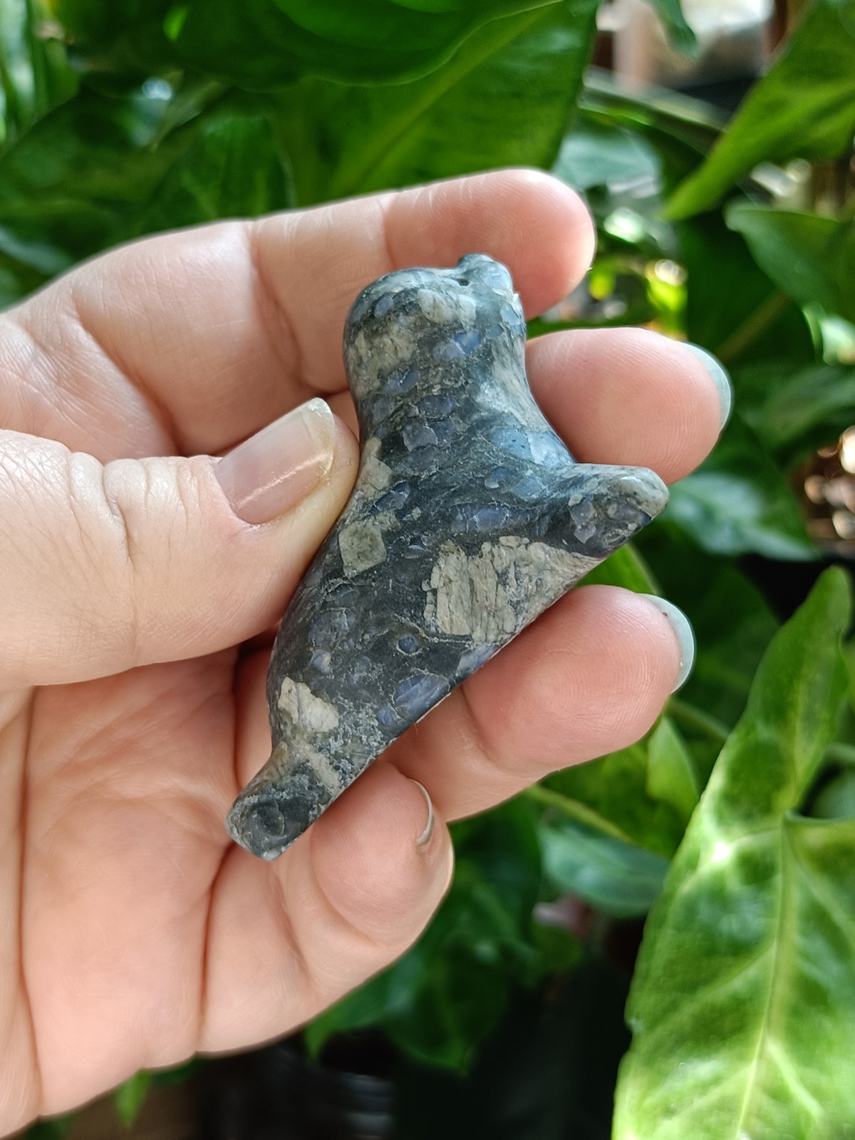 Mixed Curious Seal Carvings - 50-60g